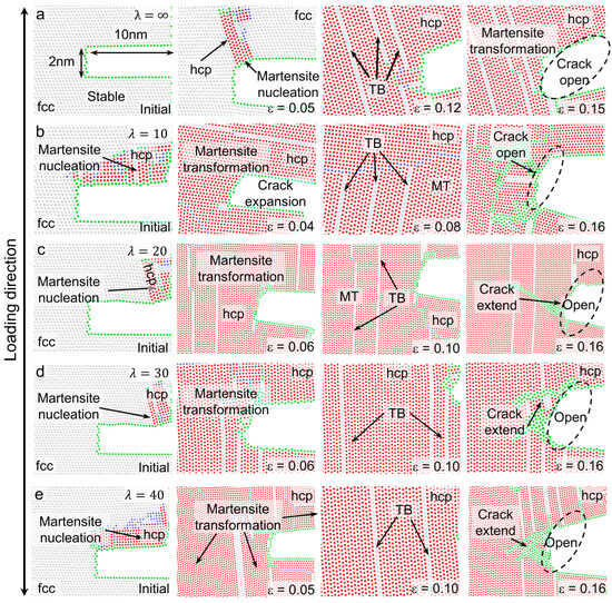 Tunability of Martensitic Transformation with Cohesive Energies for ...