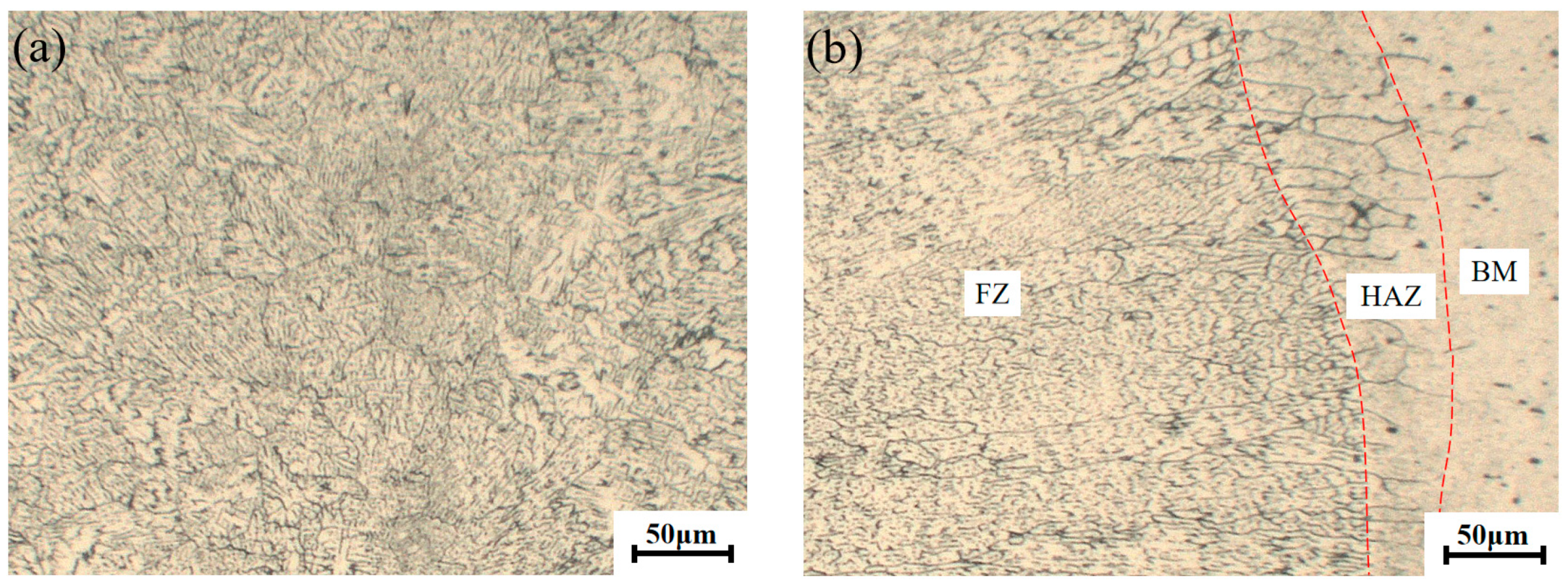 Metals 14 00729 g005