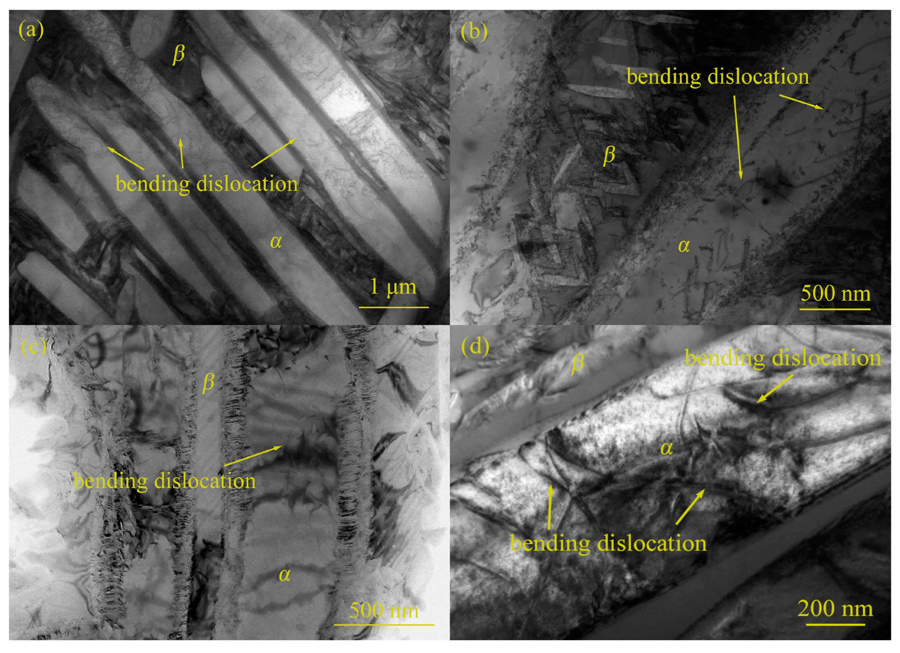 Metals 14 00743 g014