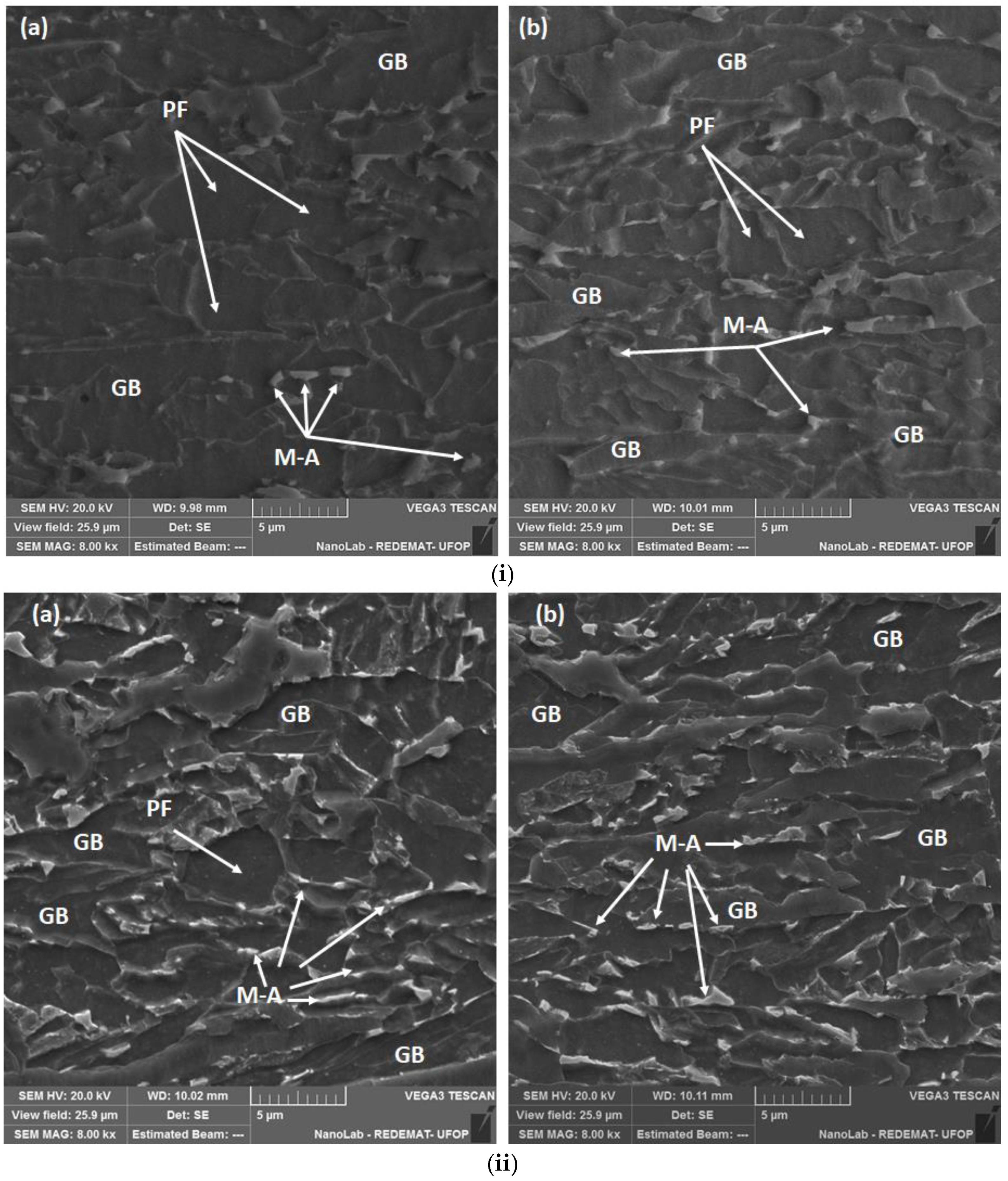 Metals 14 00746 g006