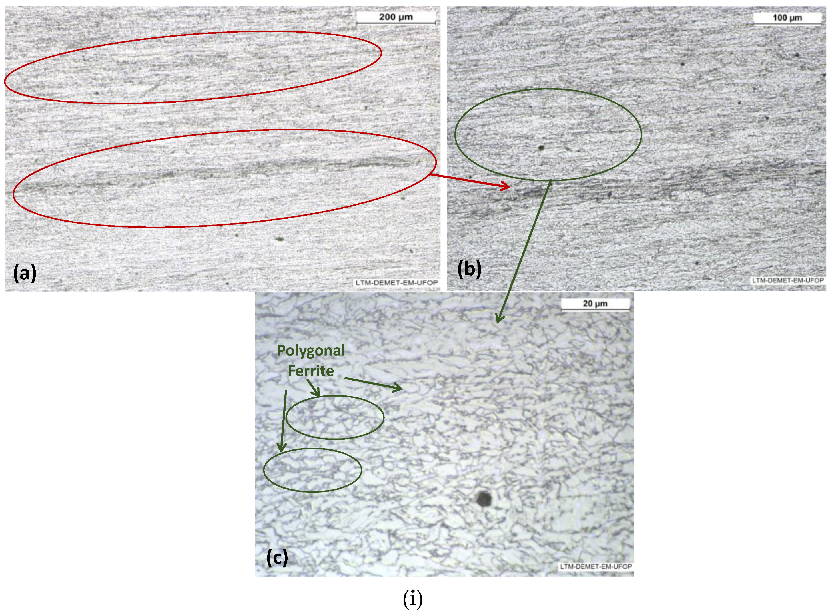 Metals 14 00746 g007a