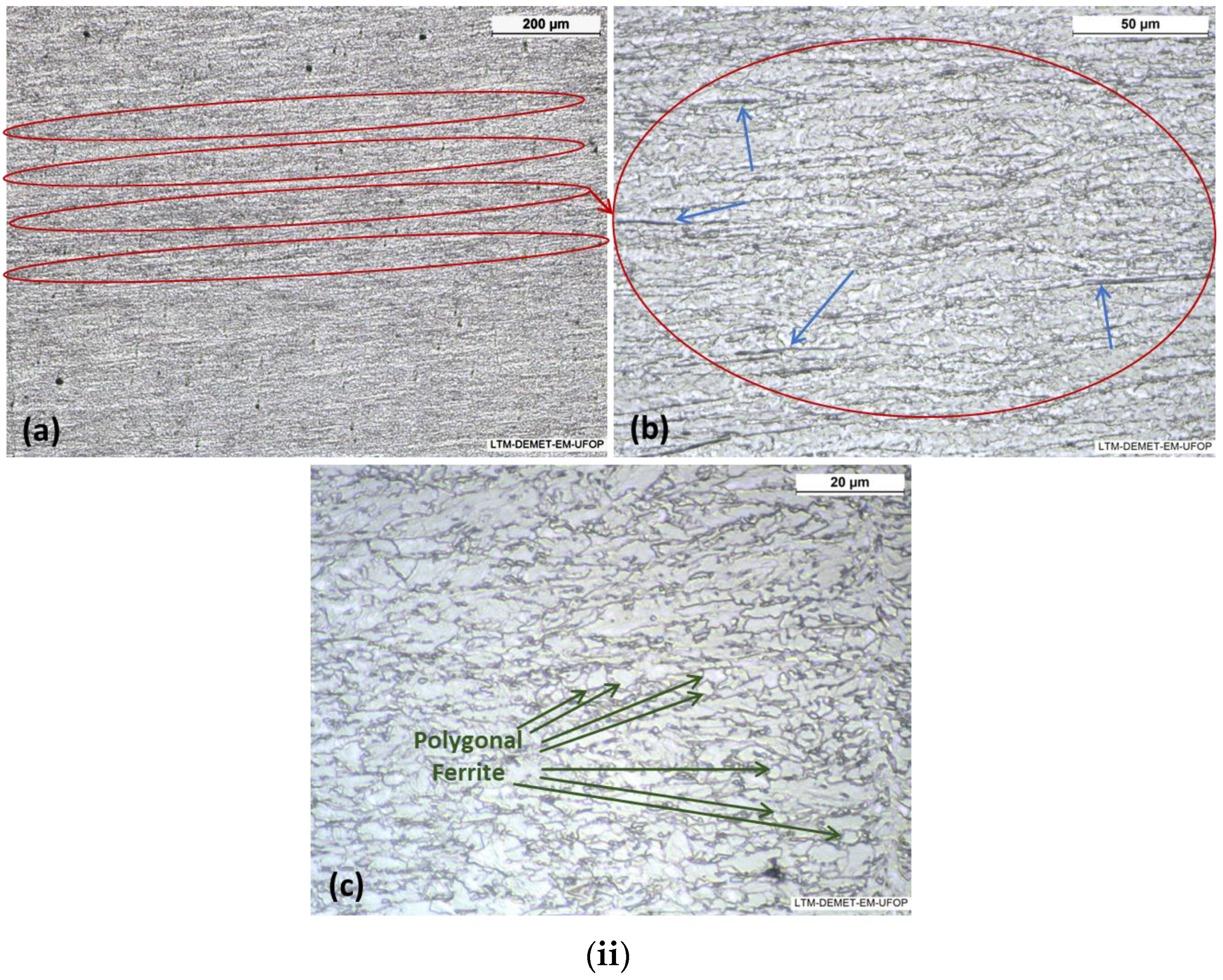 Metals 14 00746 g007b