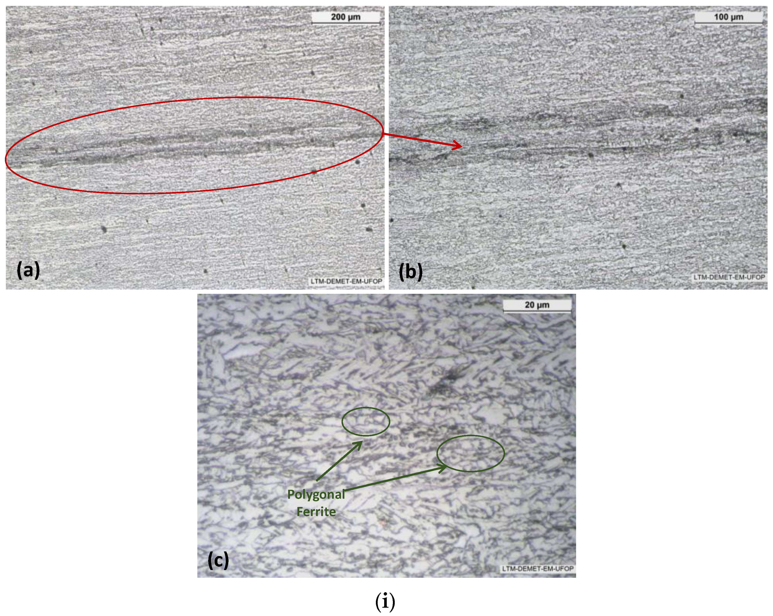 Metals 14 00746 g008a