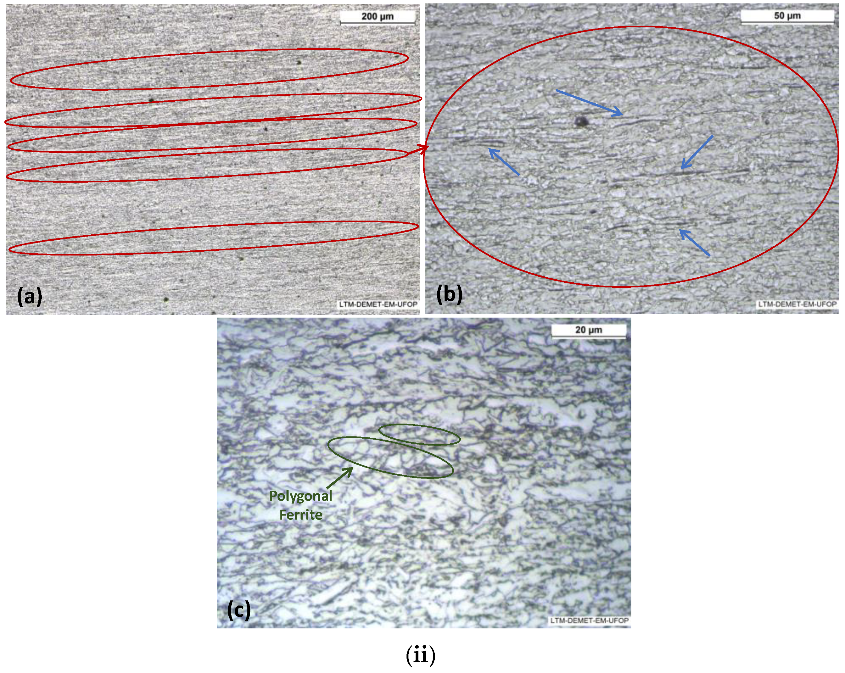 Metals 14 00746 g008b