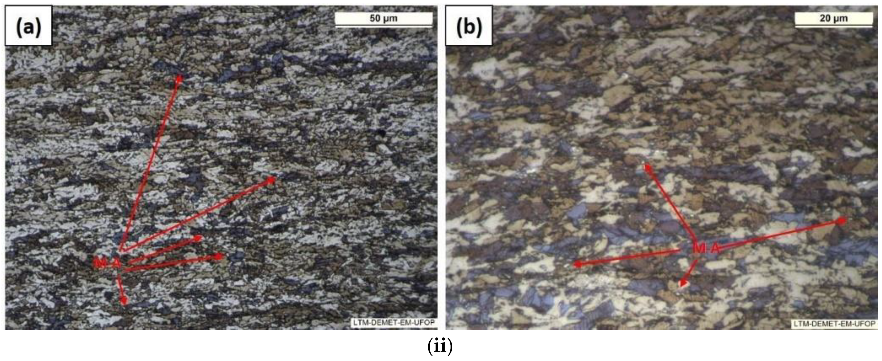 Metals 14 00746 g010b