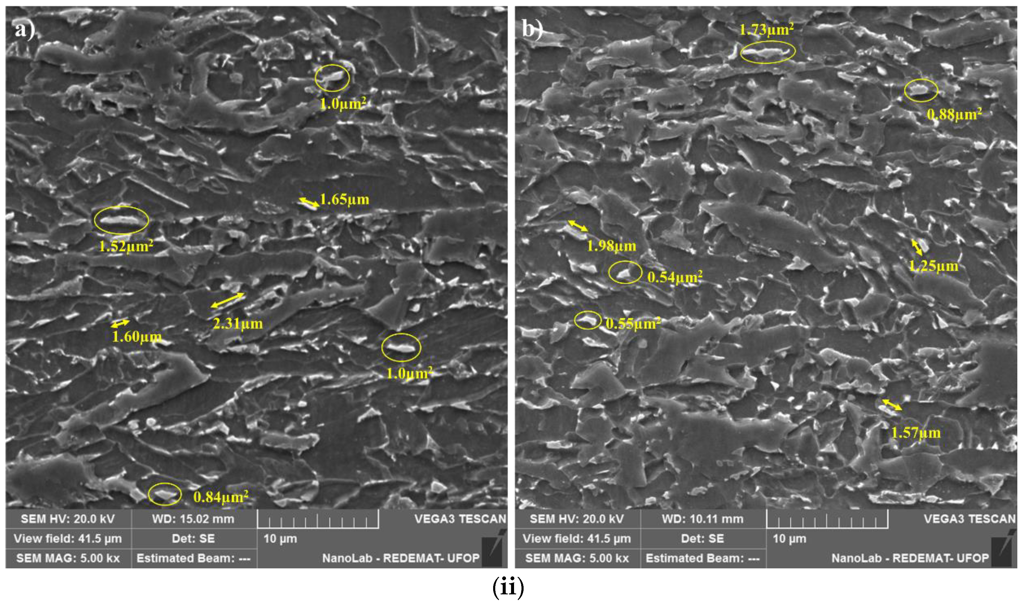 Metals 14 00746 g011b