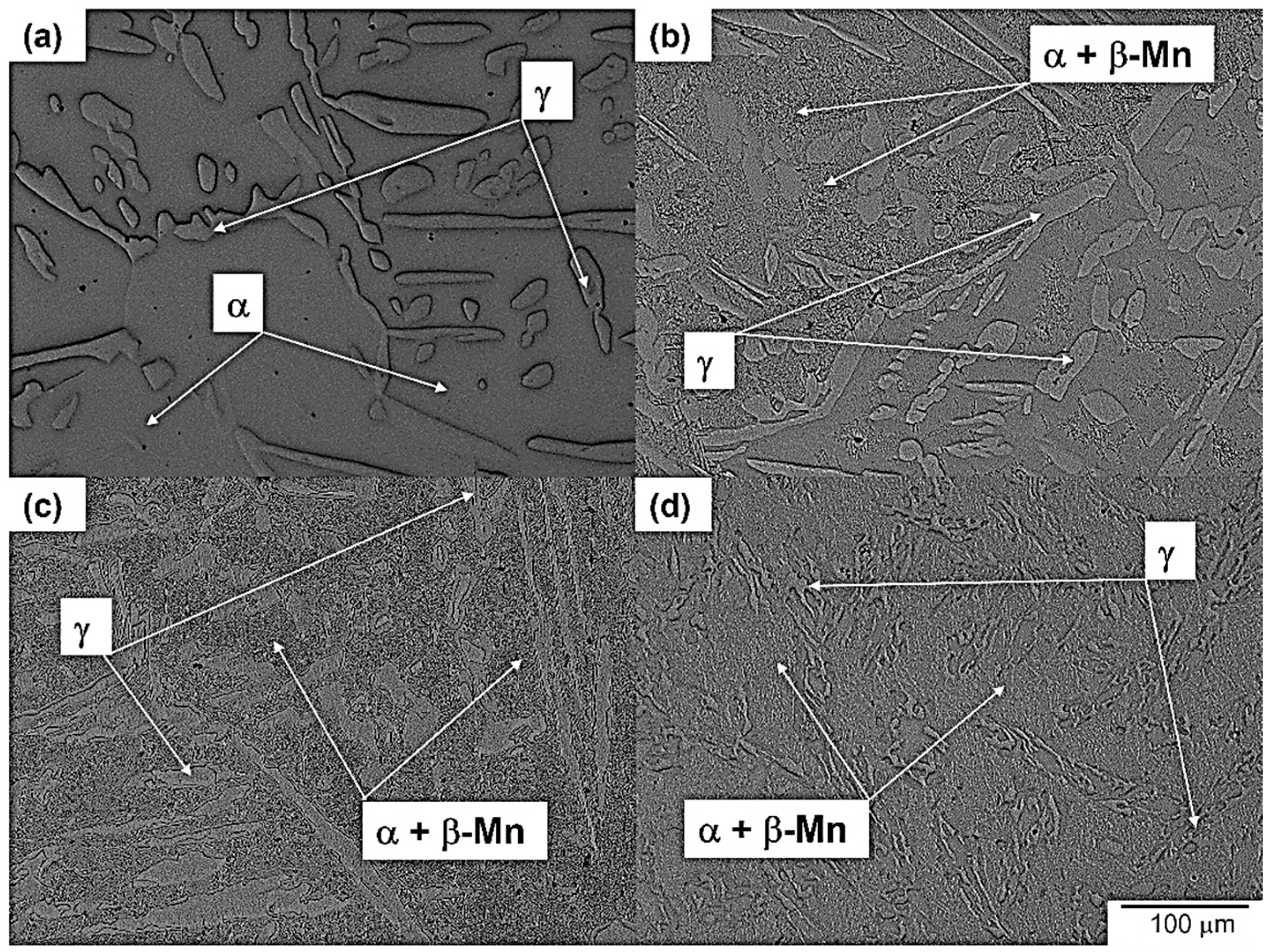 Metals 14 00748 g011