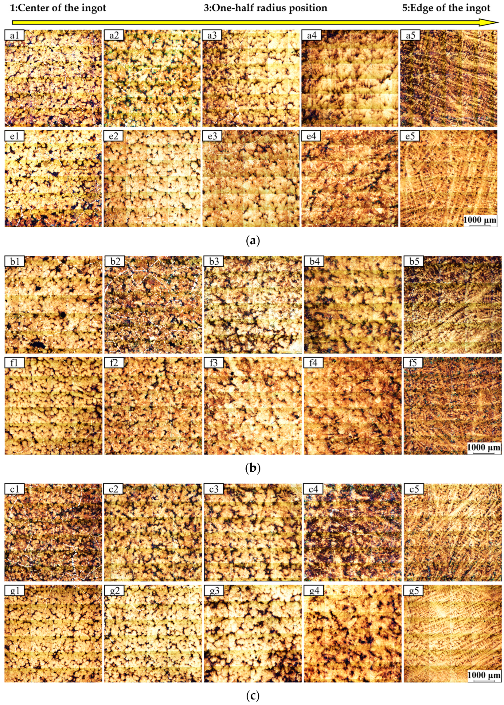 Metals 14 00753 g009