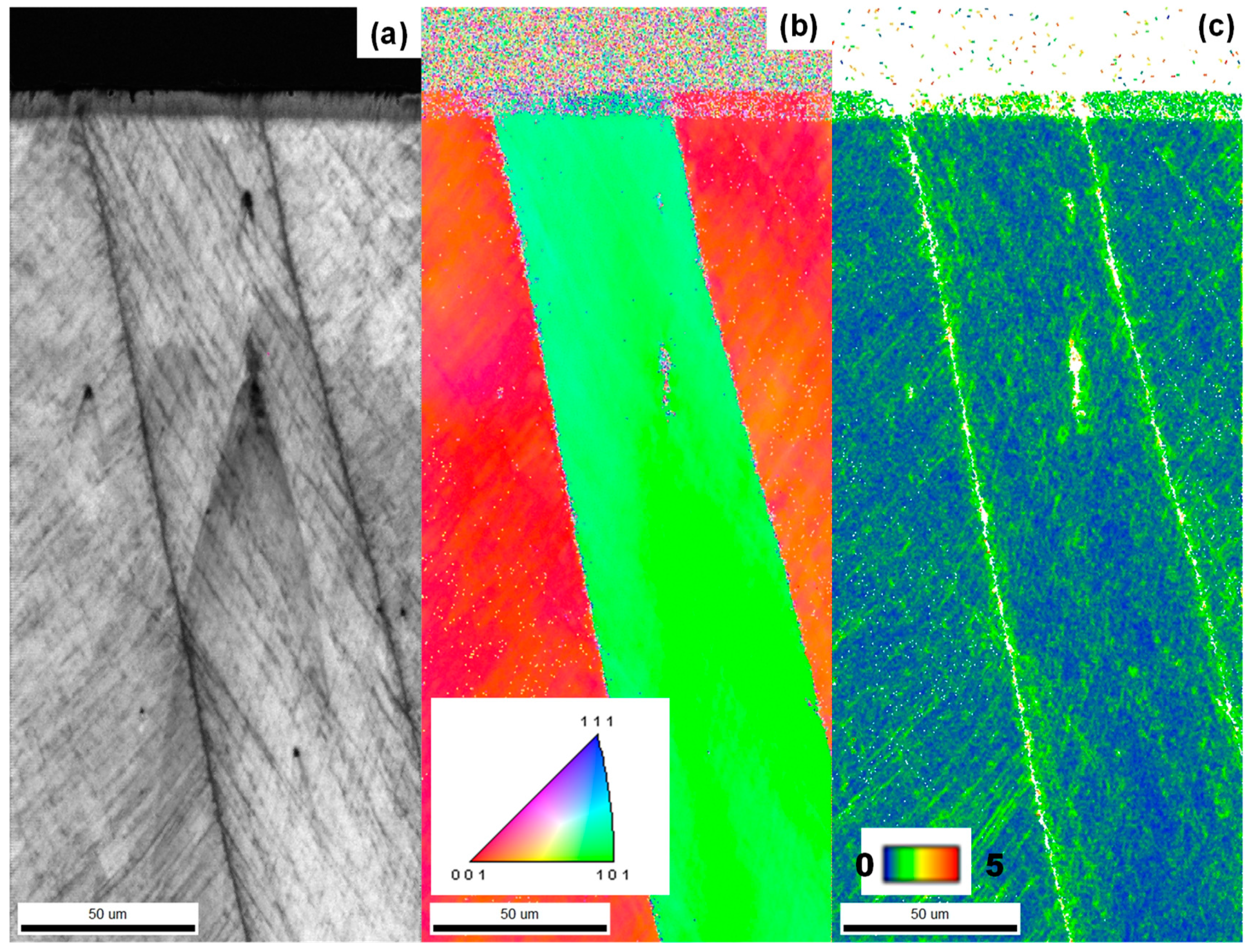 Metals 14 00755 g008
