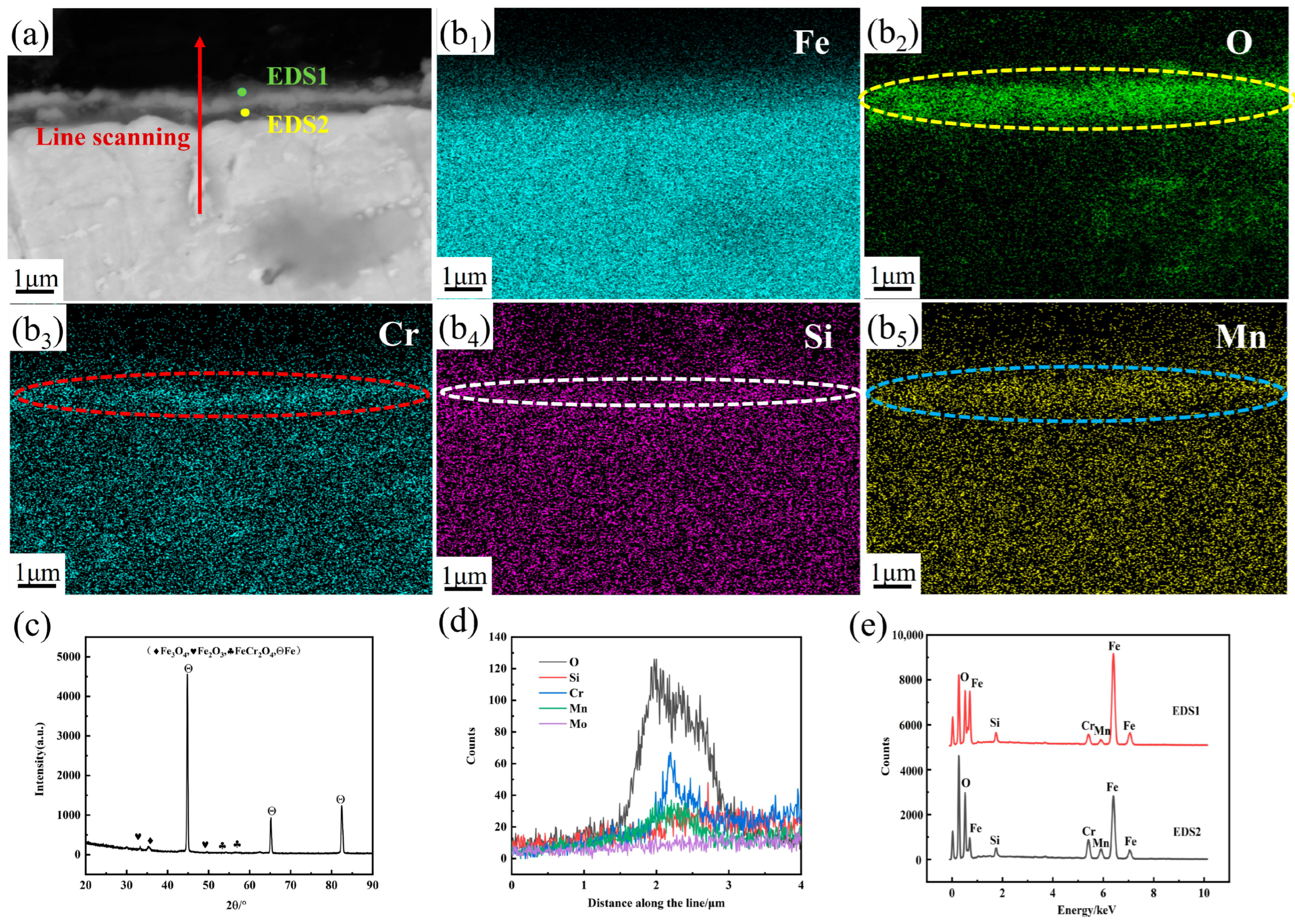 Metals 14 00760 g001