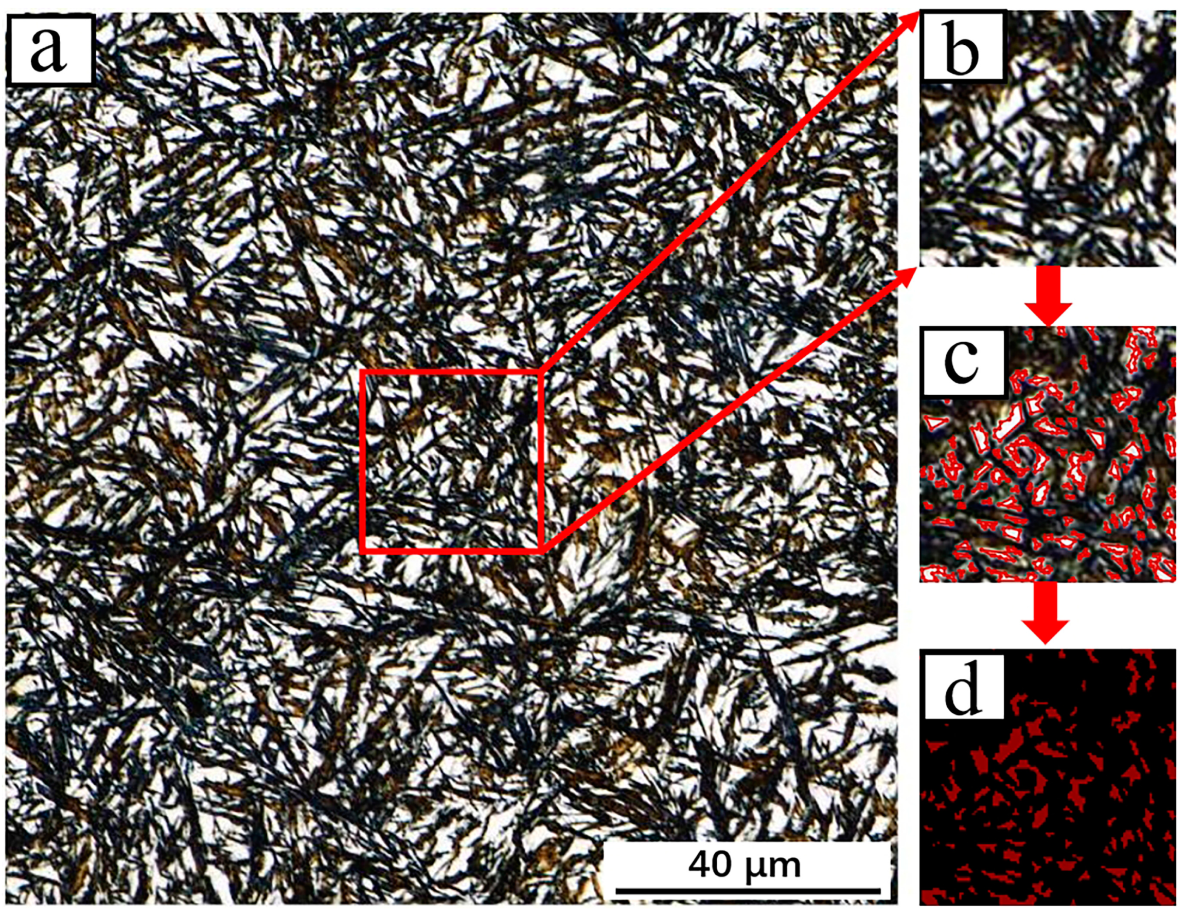 Metals 14 00761 g007