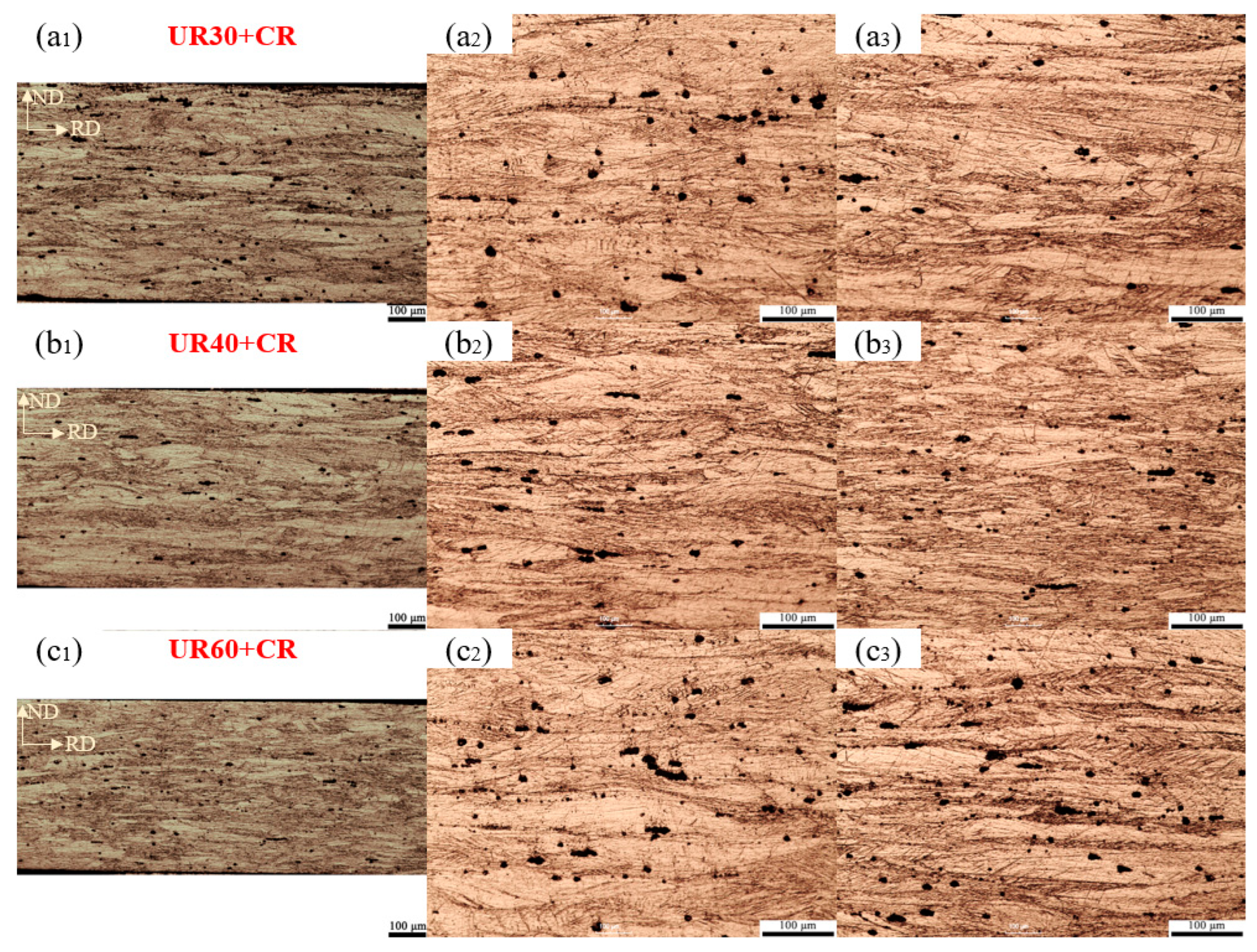 Metals 14 00766 g005