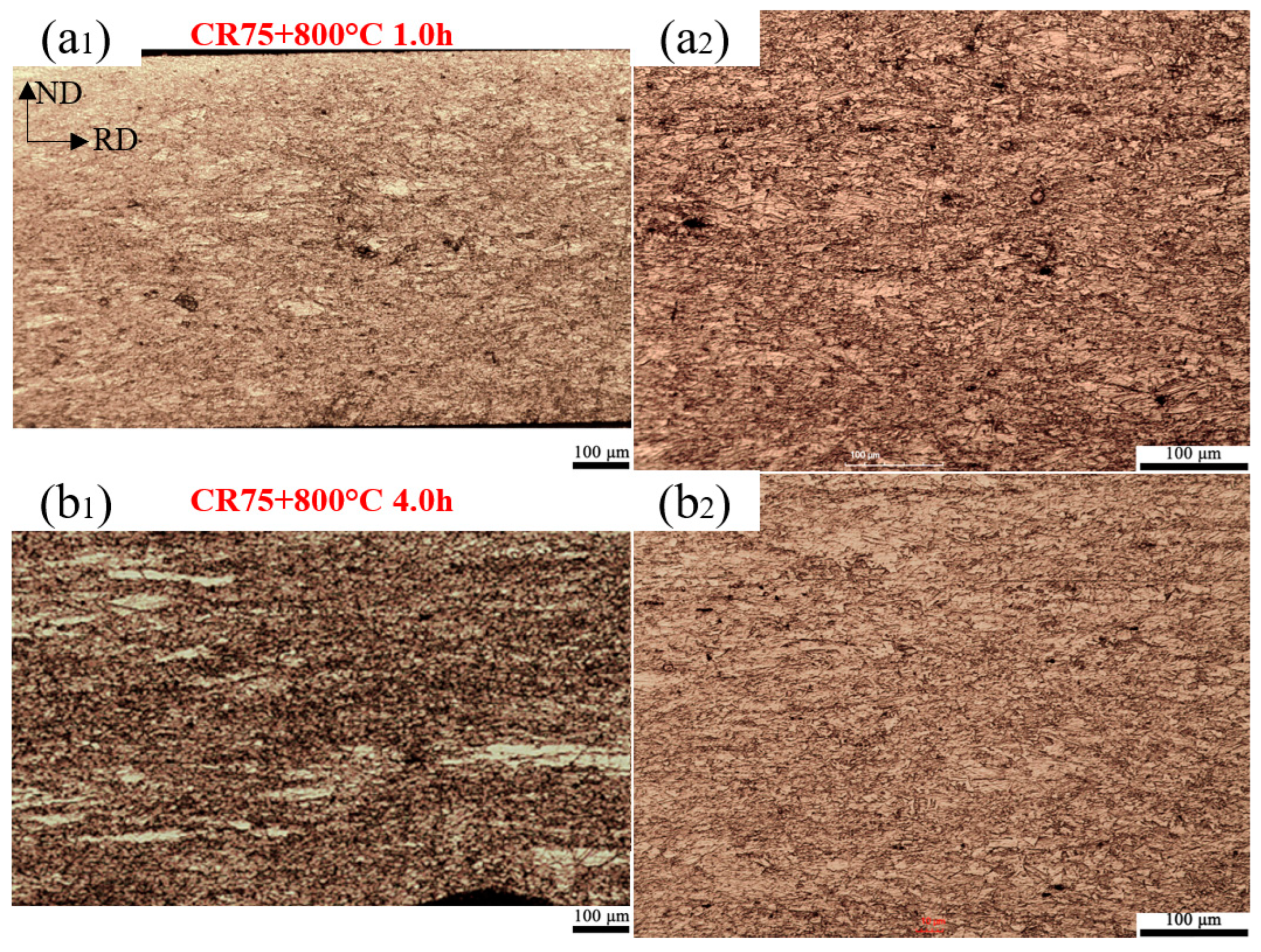 Metals 14 00766 g008