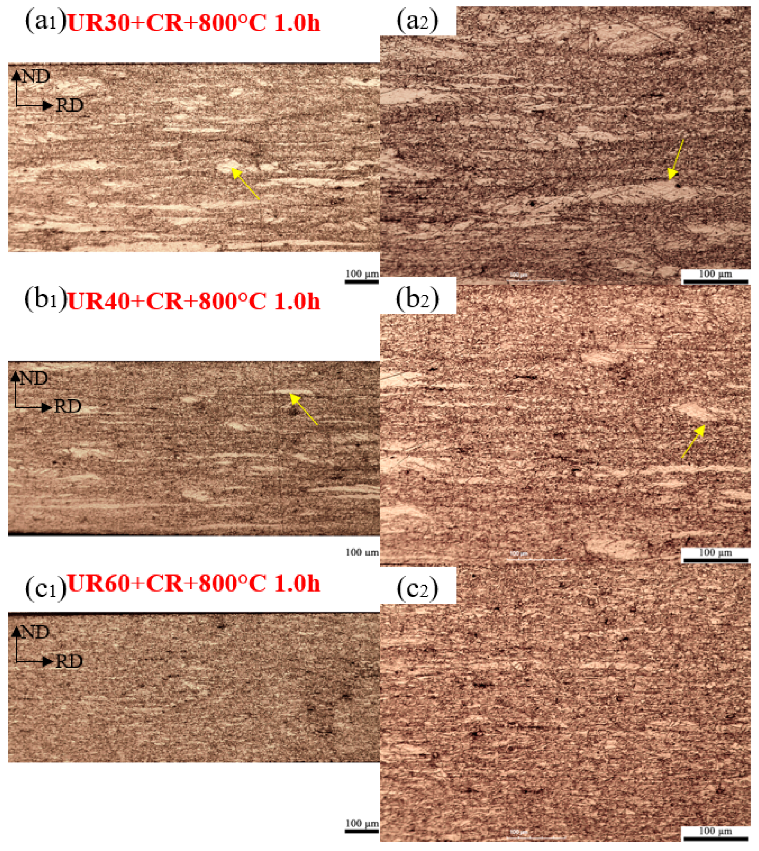 Metals 14 00766 g009a