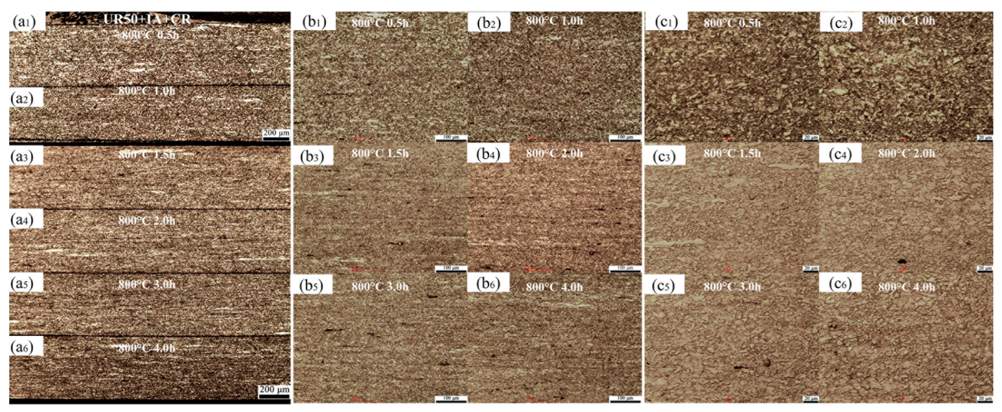 Metals 14 00766 g010