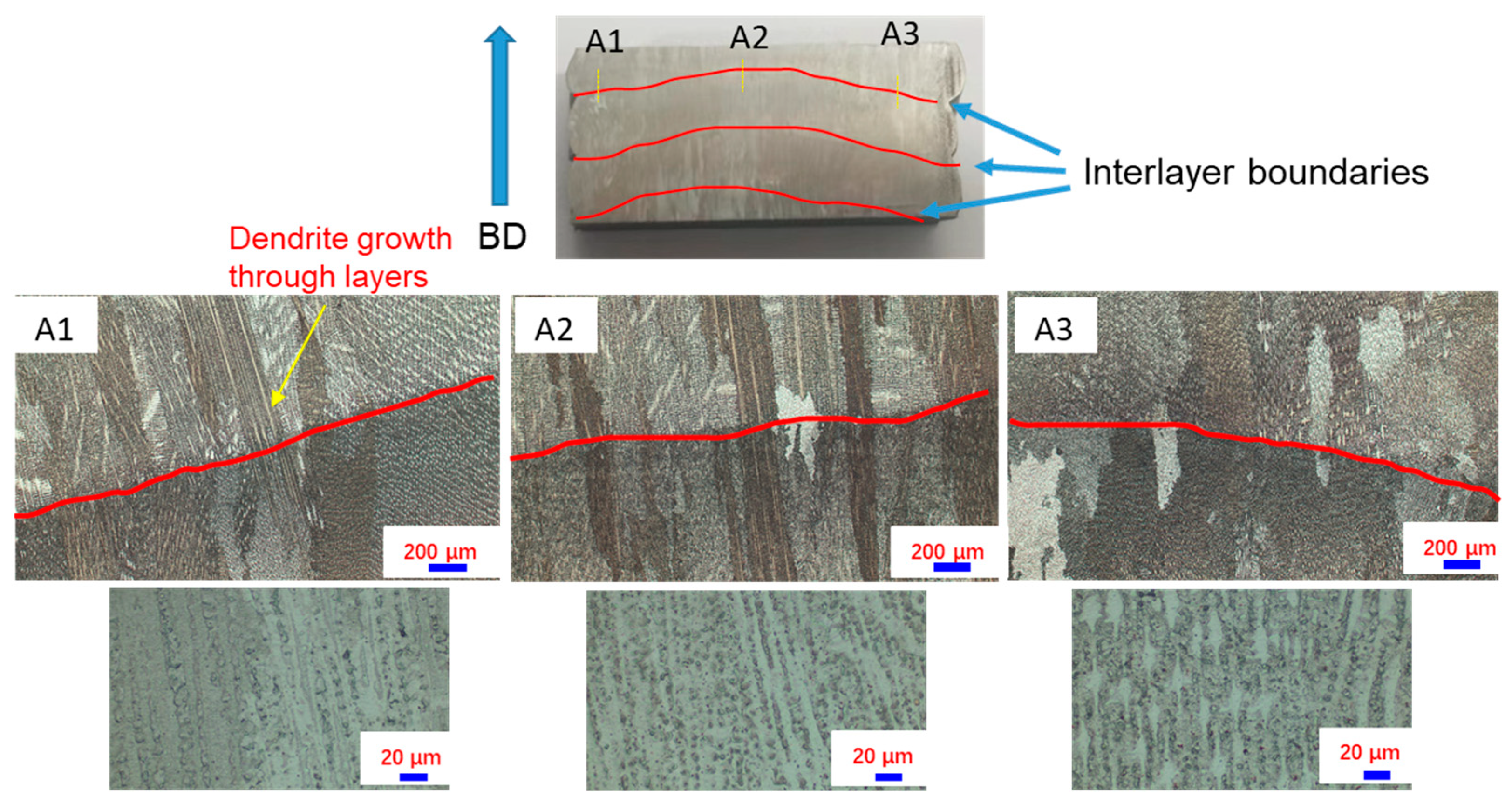 Metals 14 00770 g006