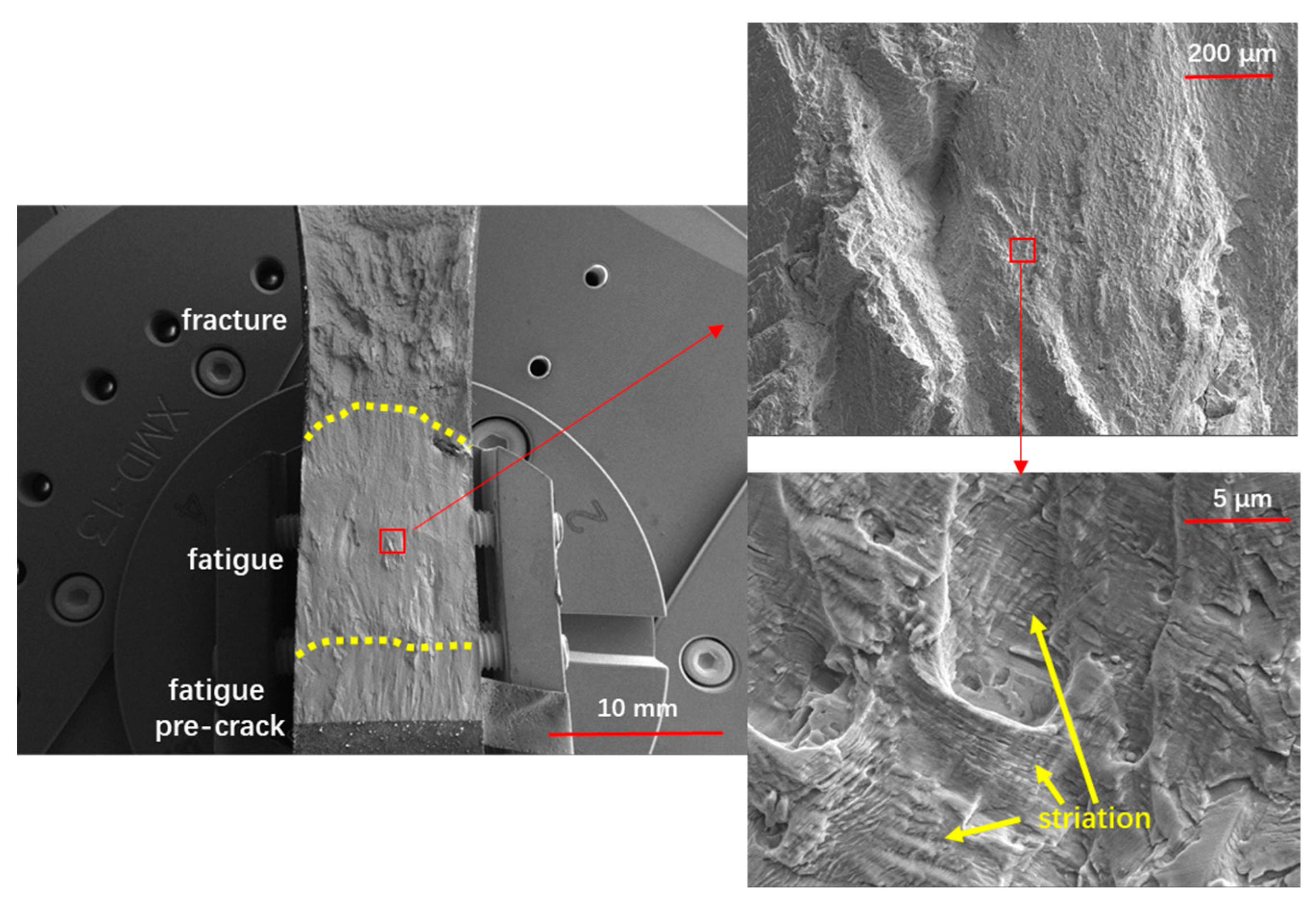 Metals 14 00770 g015