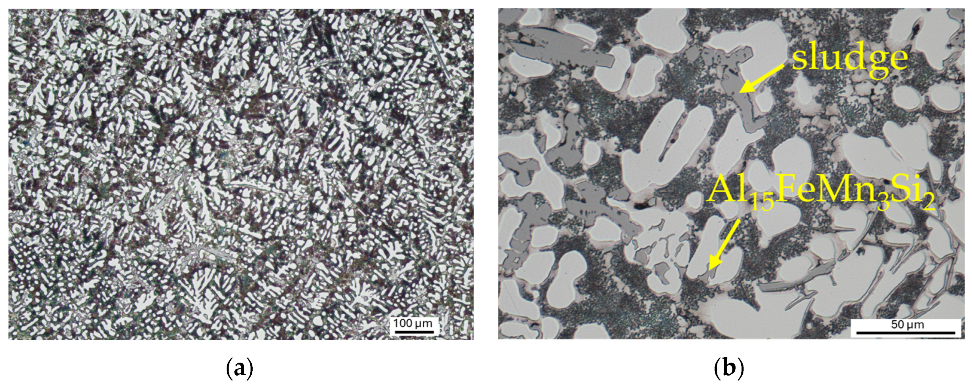 Metals 14 00776 g003a