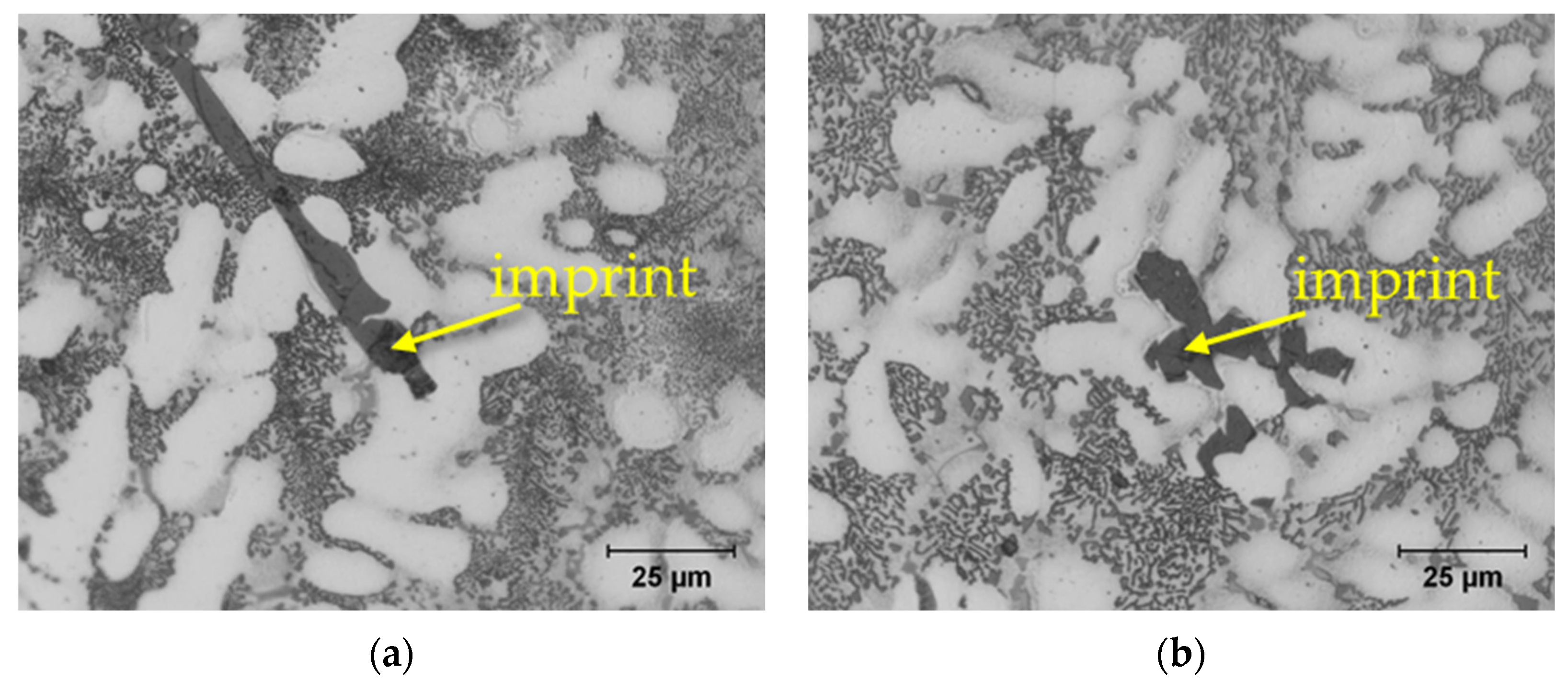 Metals 14 00776 g010