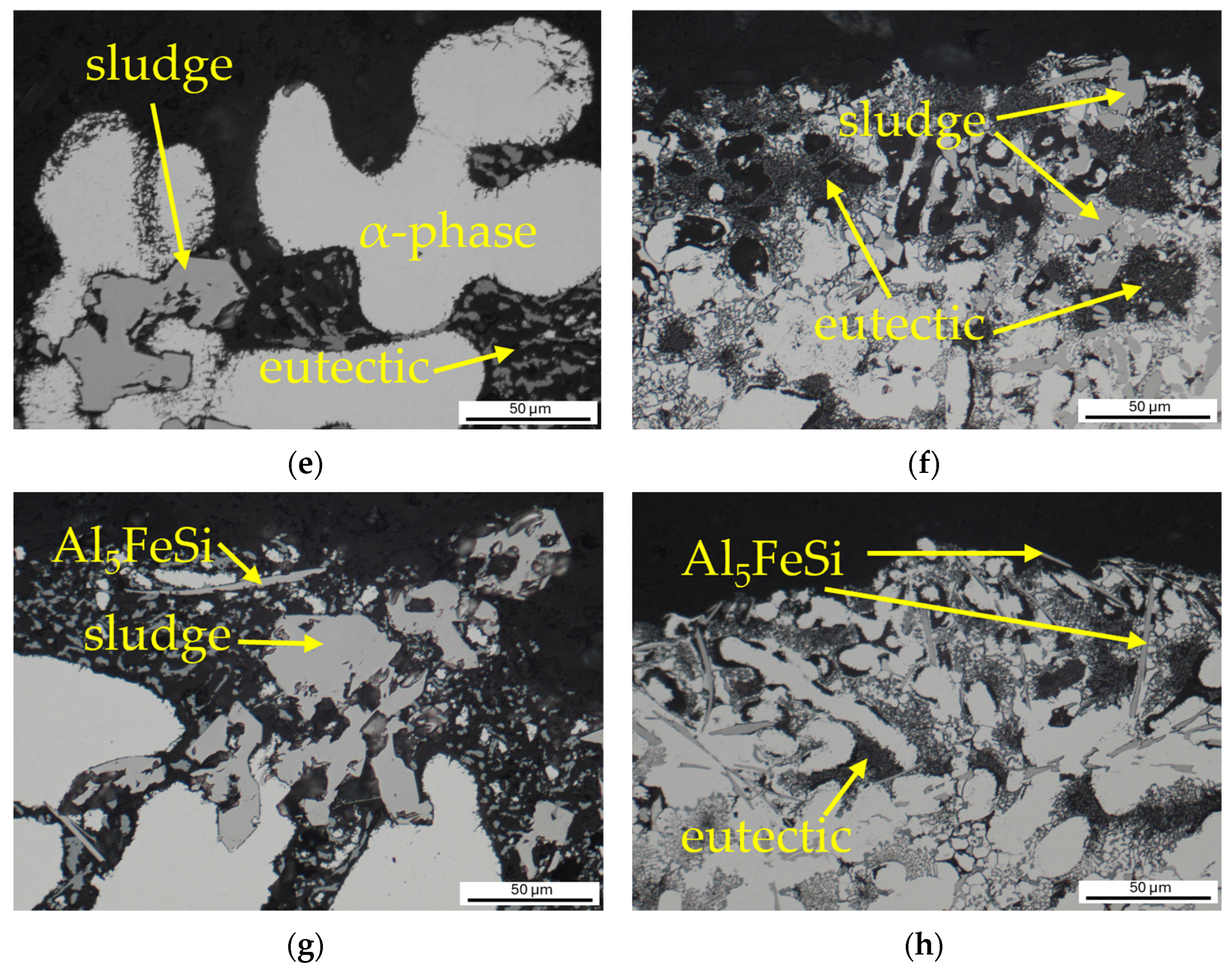 Metals 14 00776 g015b
