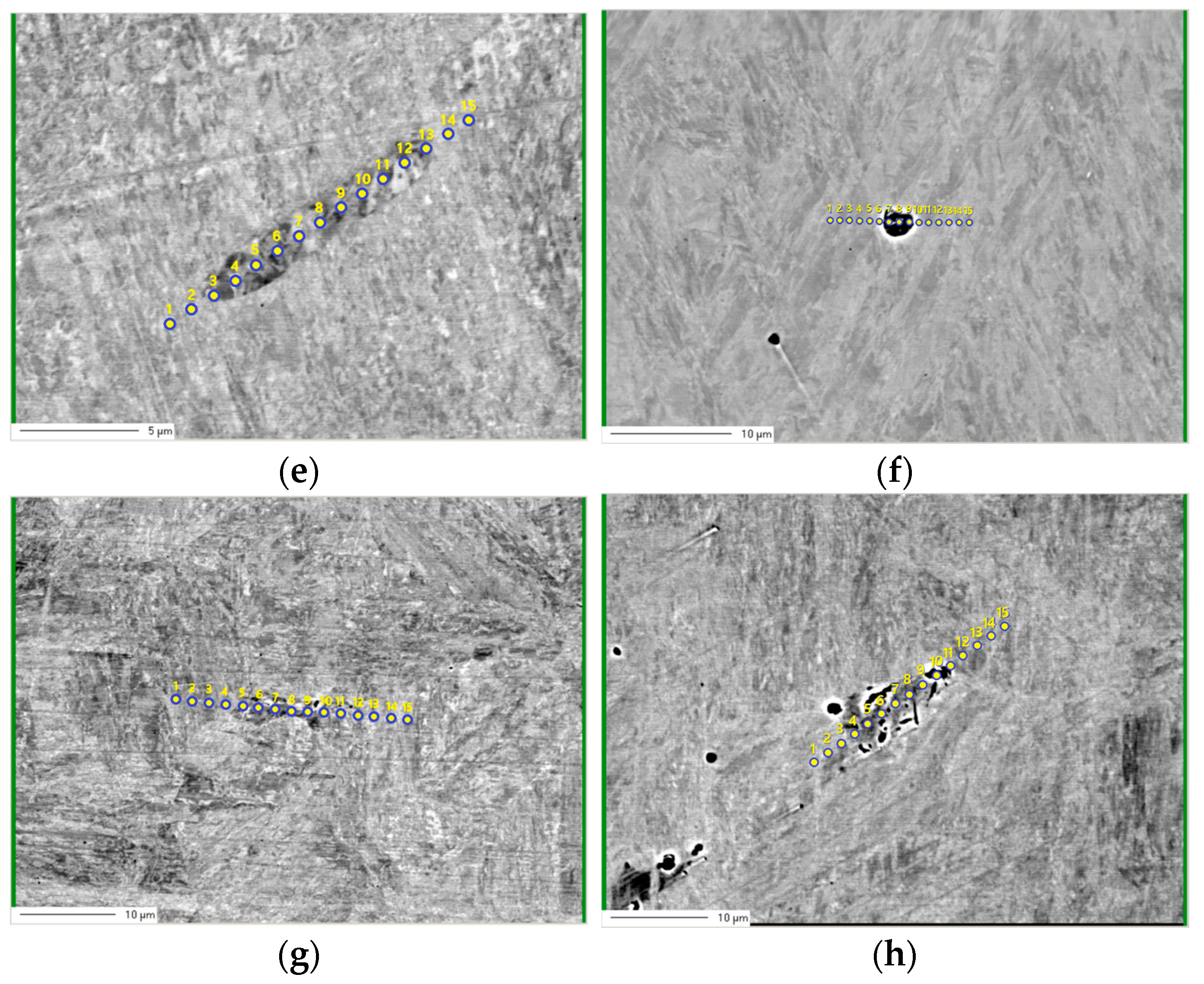 Metals 14 00783 g014b Metals 14 00783 g014b