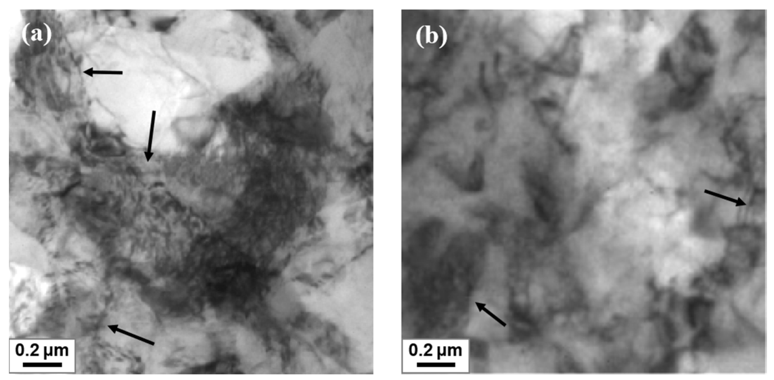 Metals 14 00785 g007