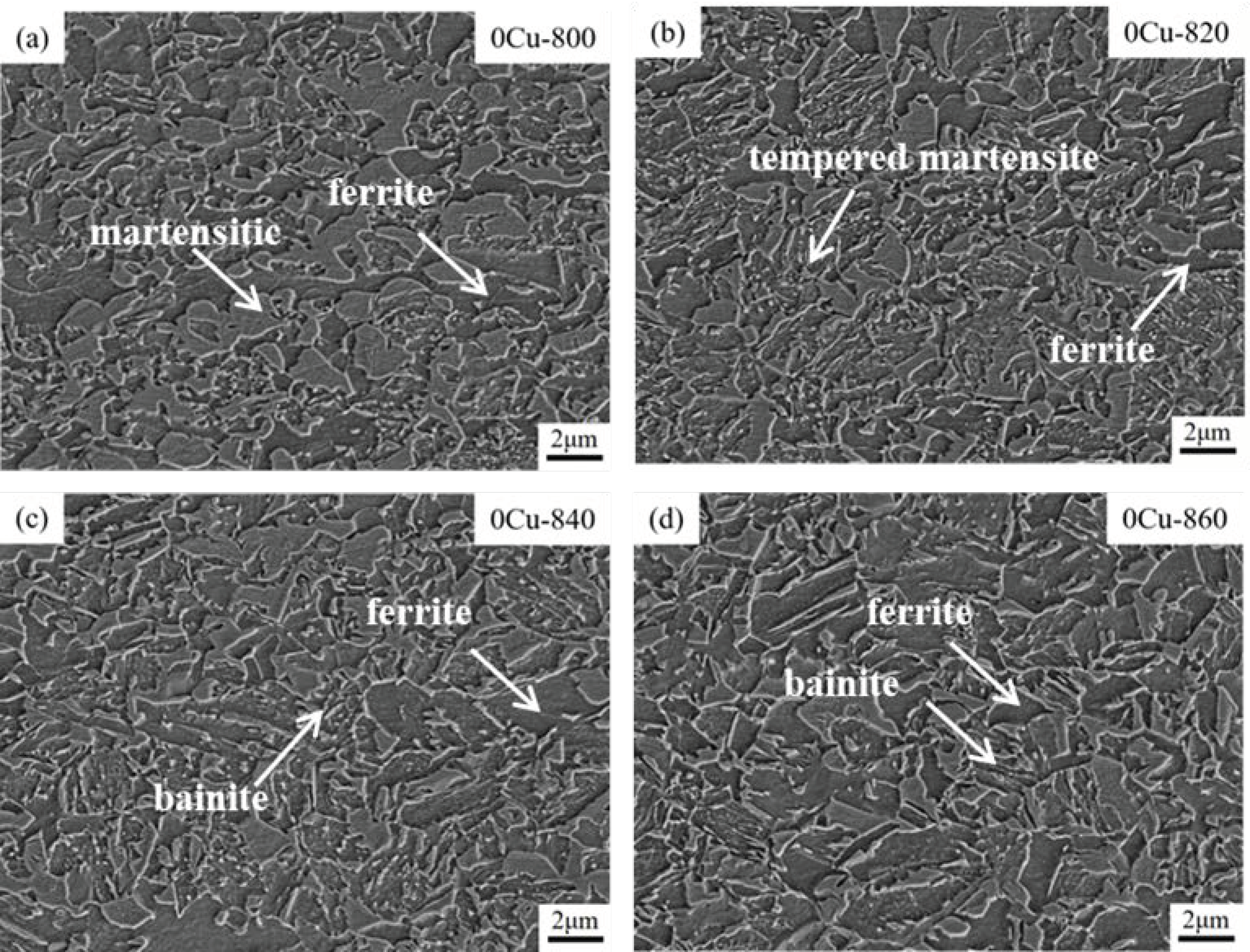 Metals 14 00791 g006
