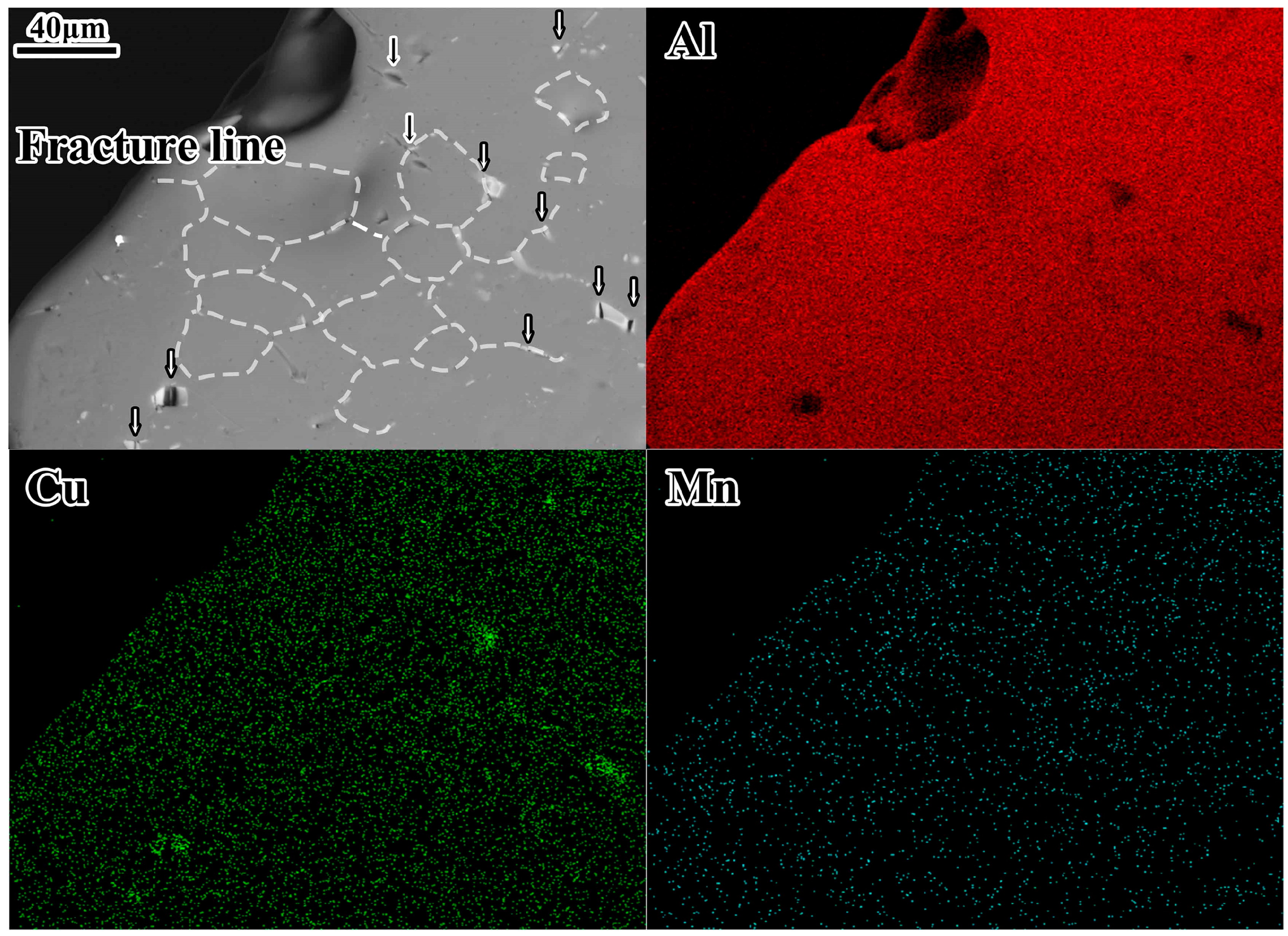 Metals 14 00797 g014