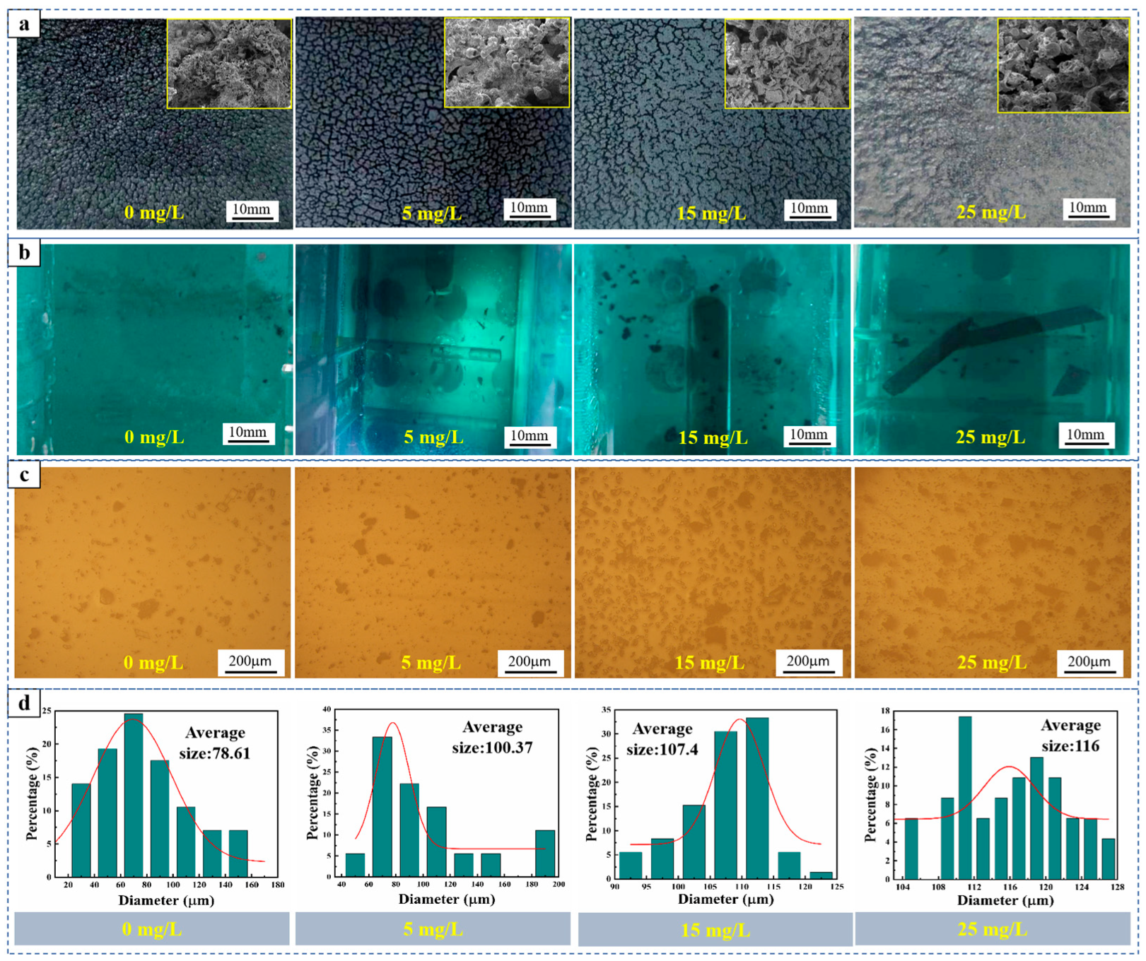 Metals 14 00799 g005