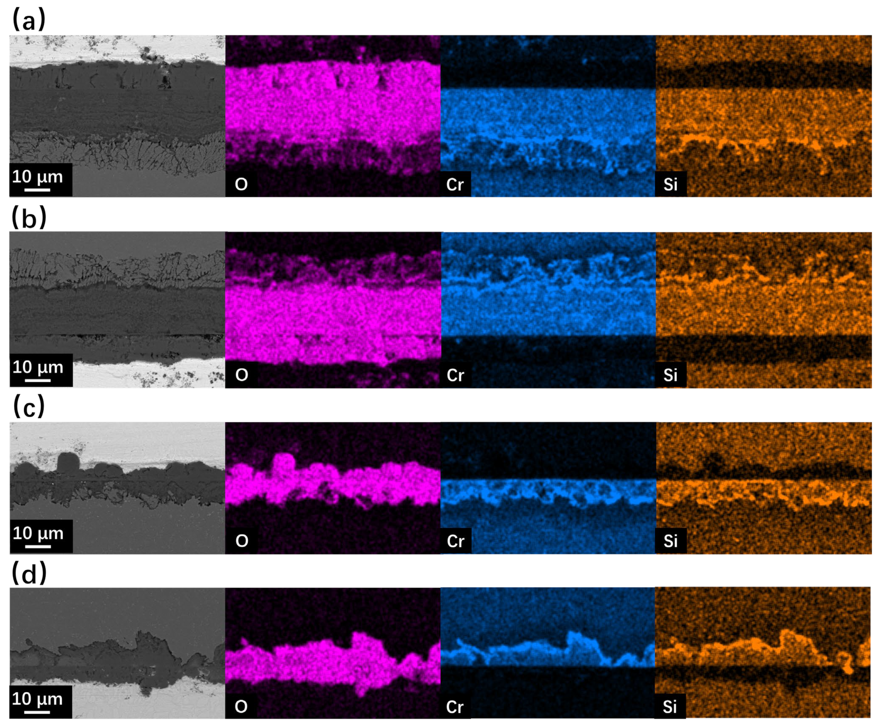 Metals 14 00810 g008