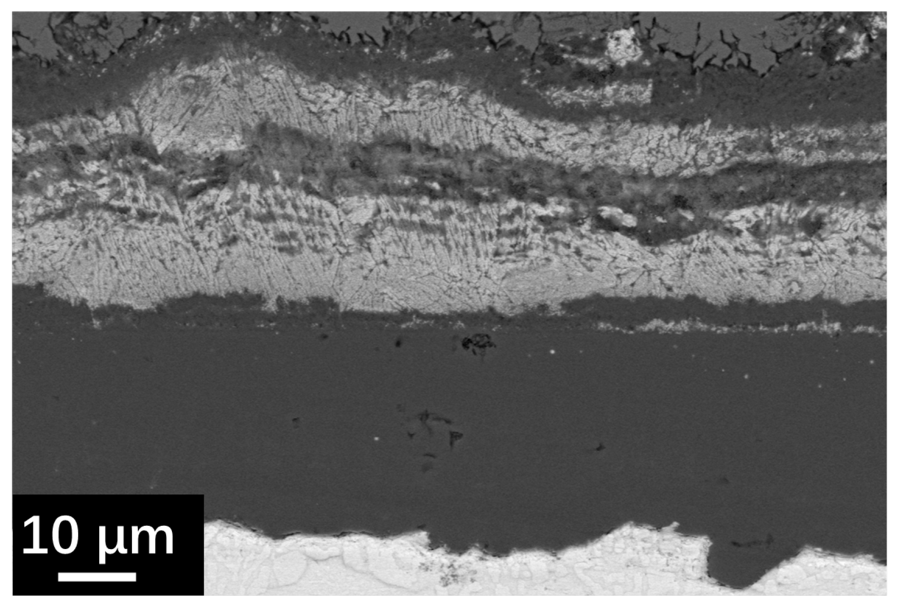 Metals 14 00810 g009