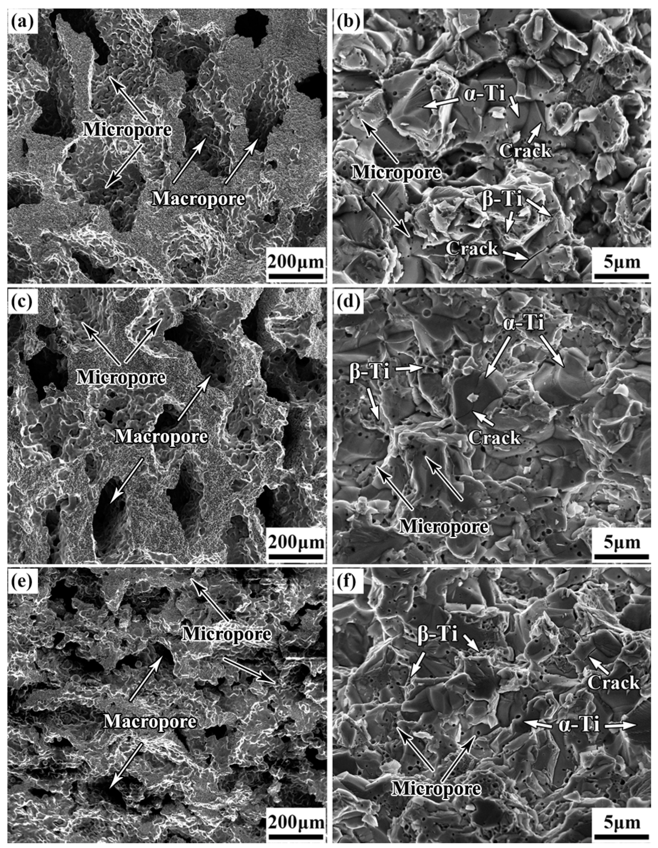 Metals 14 00824 g008