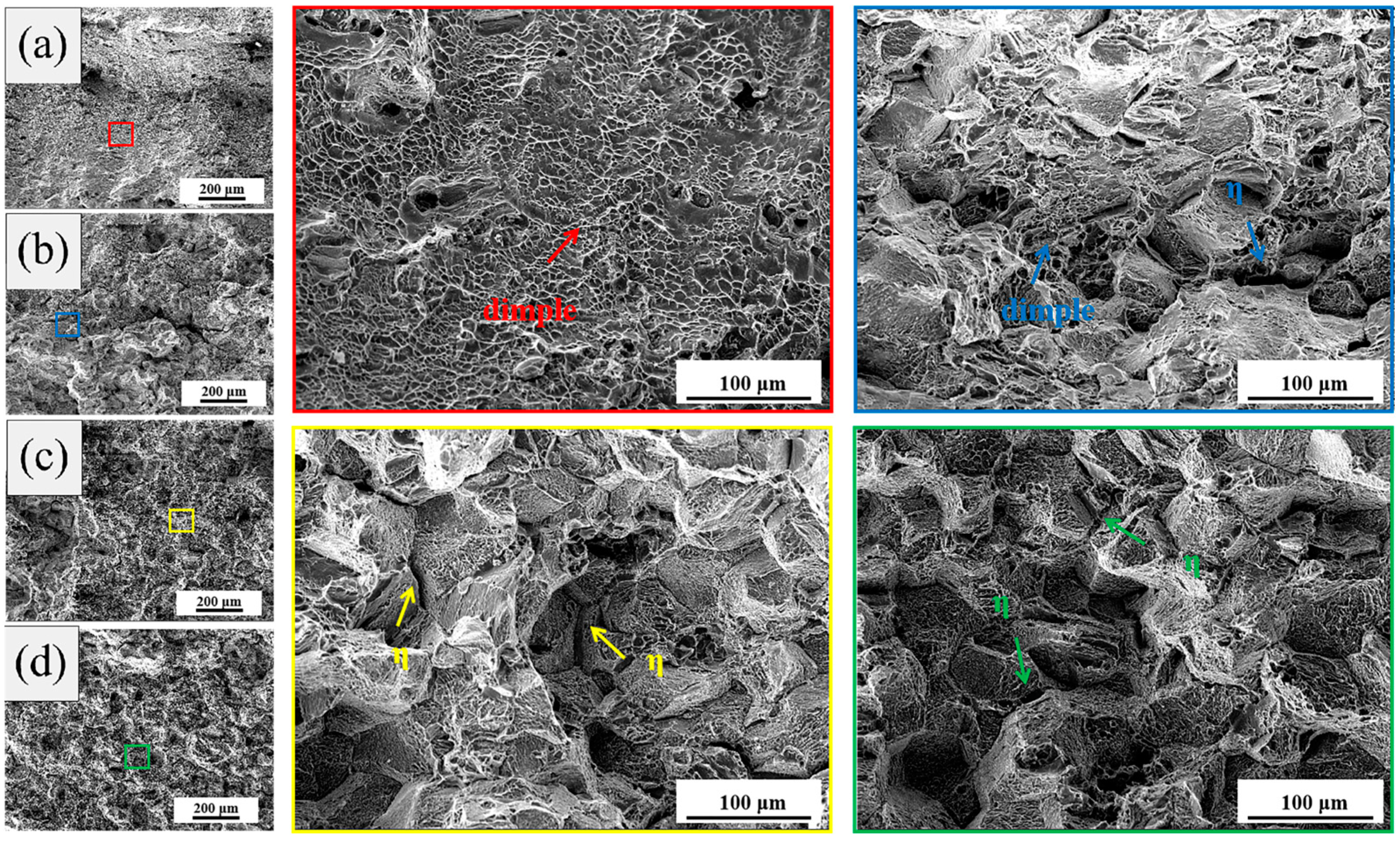 Metals 14 00826 g005