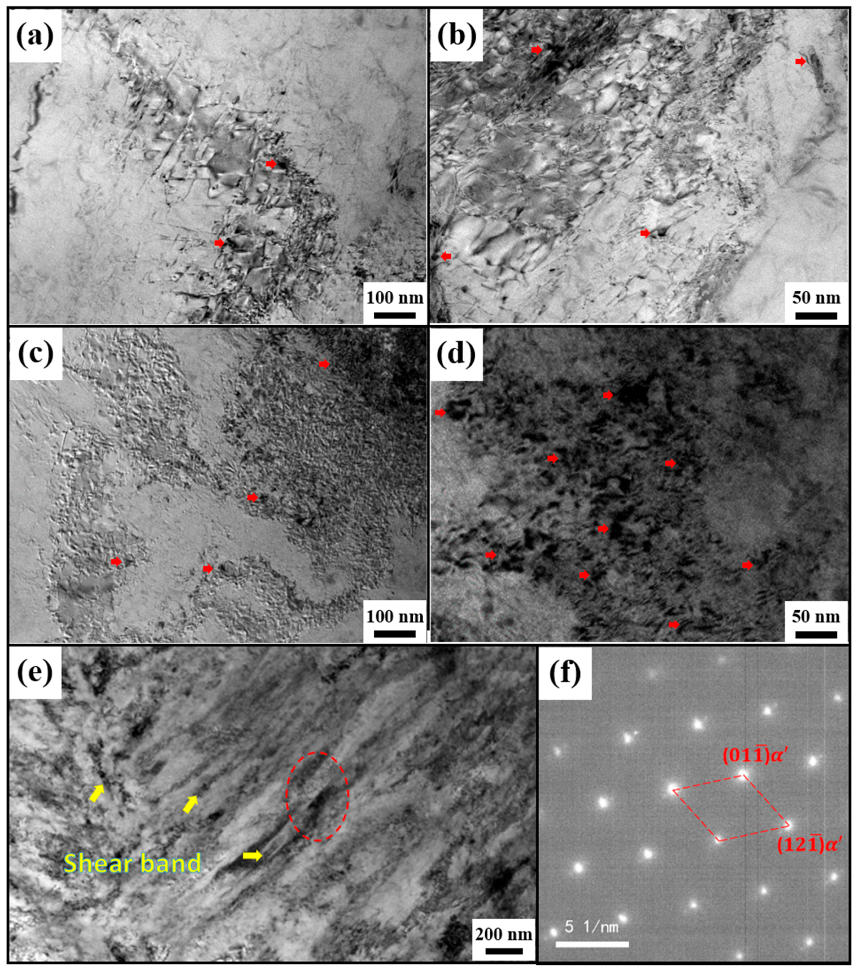 Metals 14 00827 g005