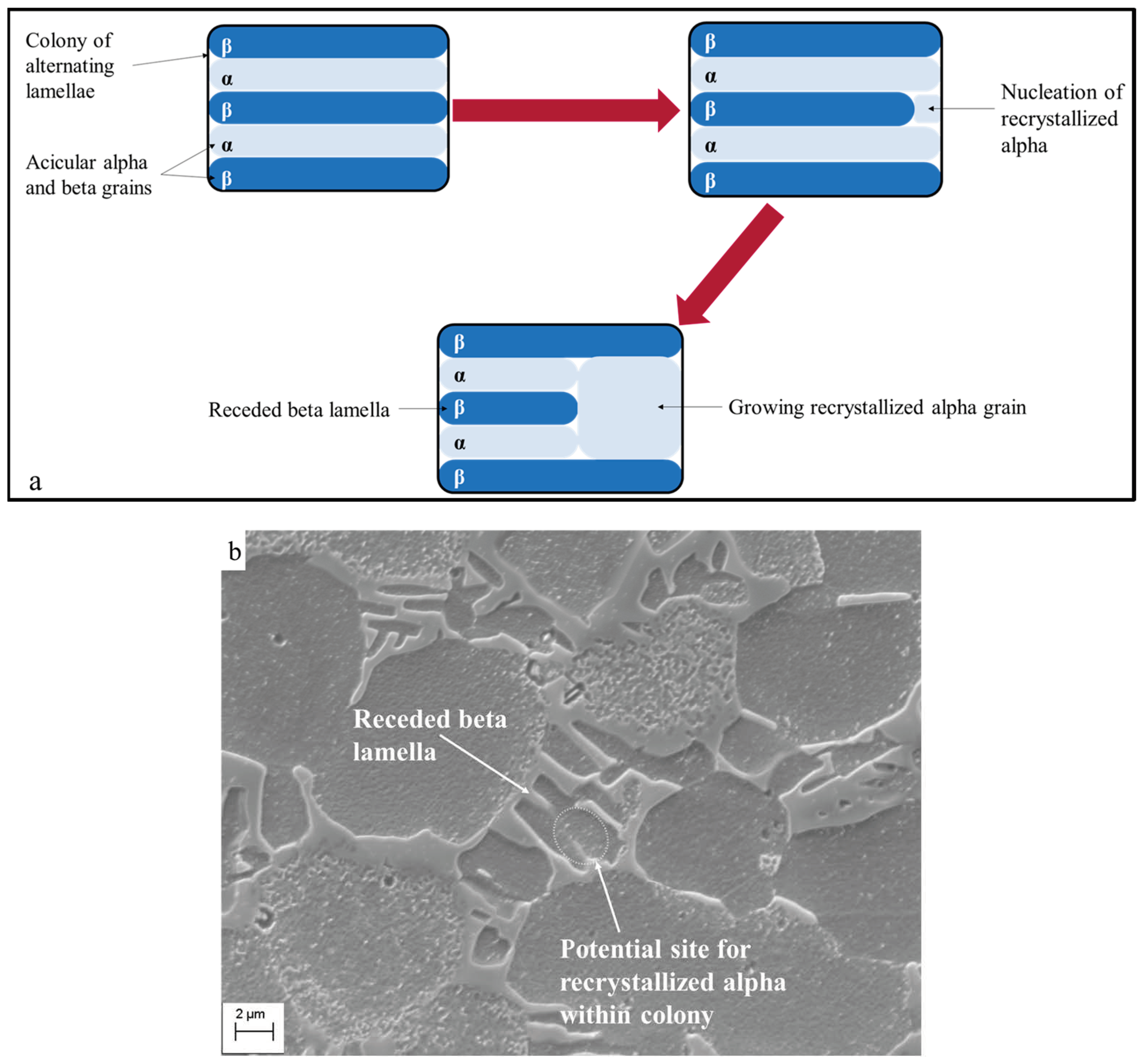 Metals 14 00828 g006