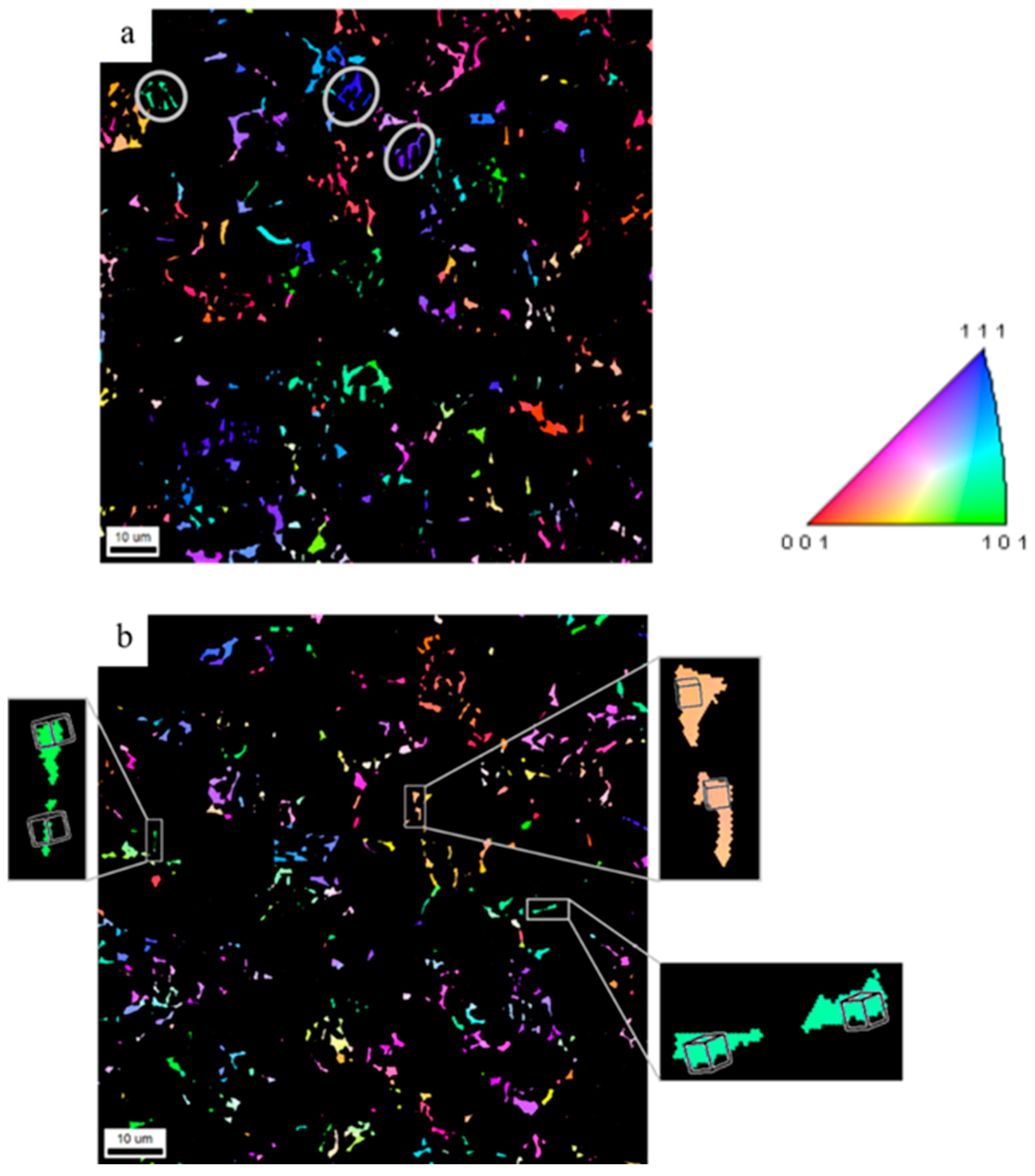 Metals 14 00828 g010