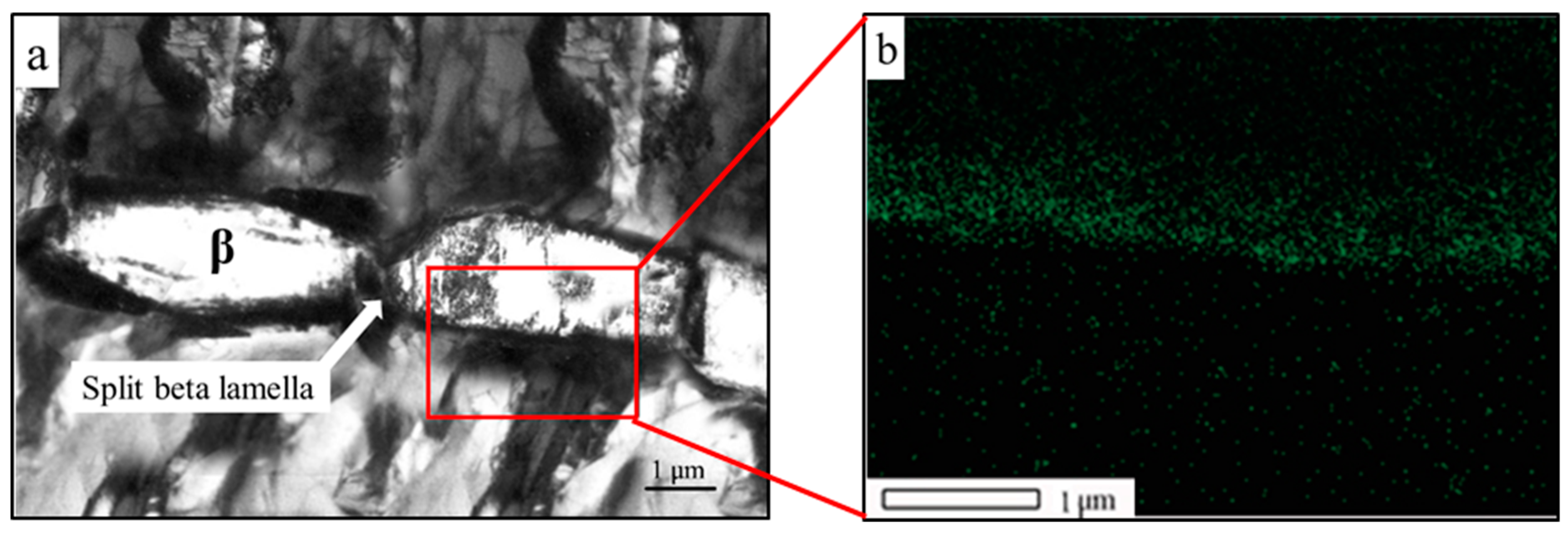 Metals 14 00828 g011