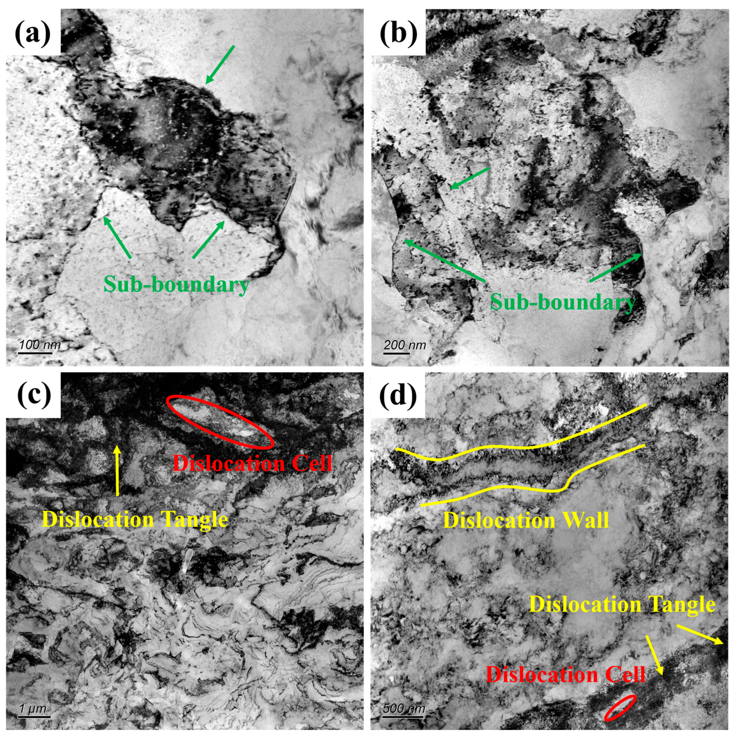 Metals 14 00837 g006