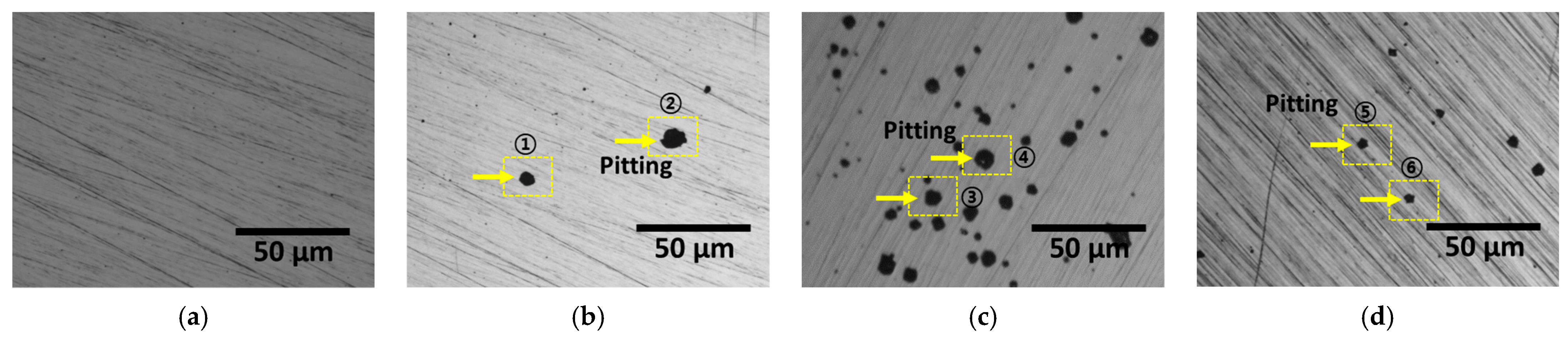Metals 14 00846 g007