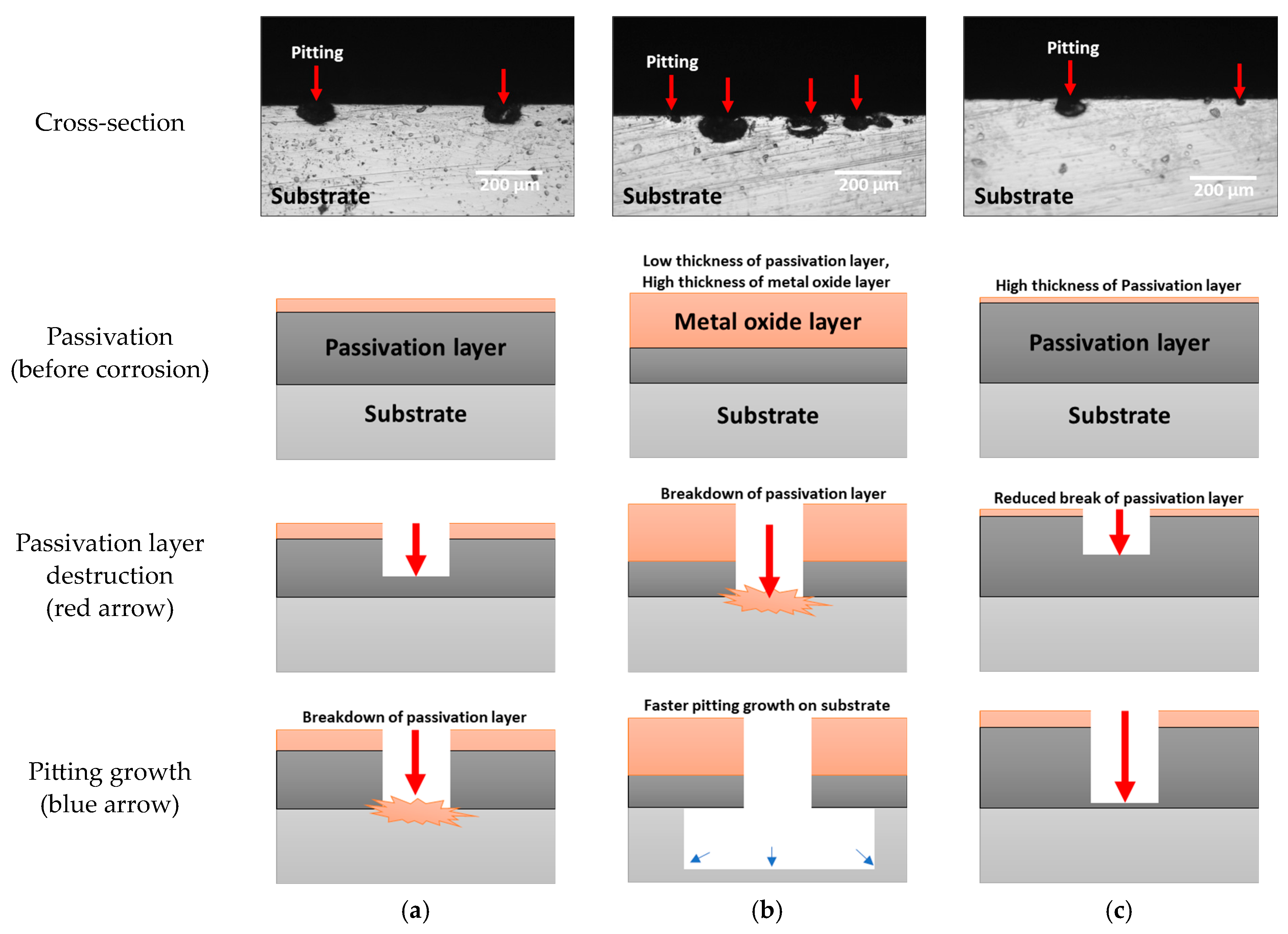 Metals 14 00846 g009