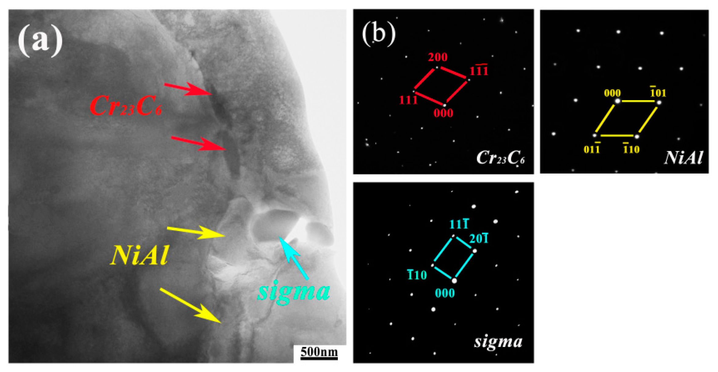 Metals 14 00870 g005
