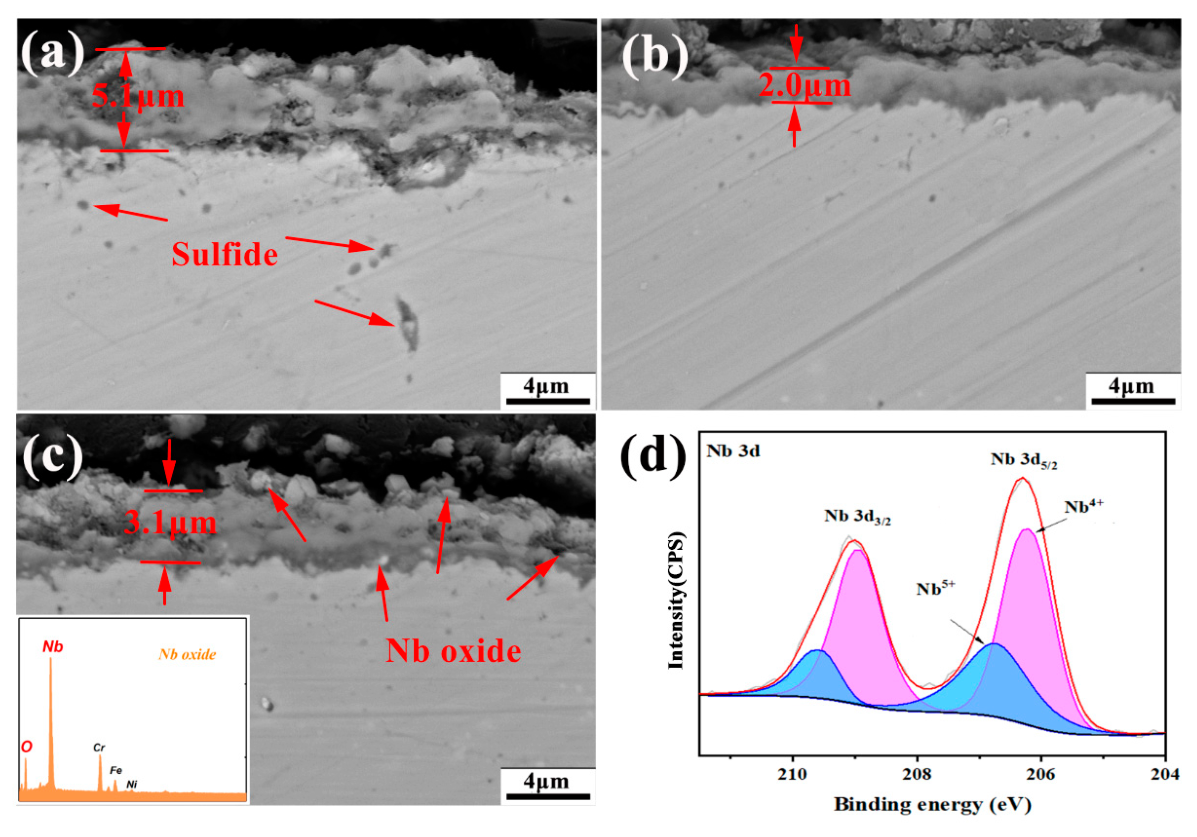 Metals 14 00870 g012