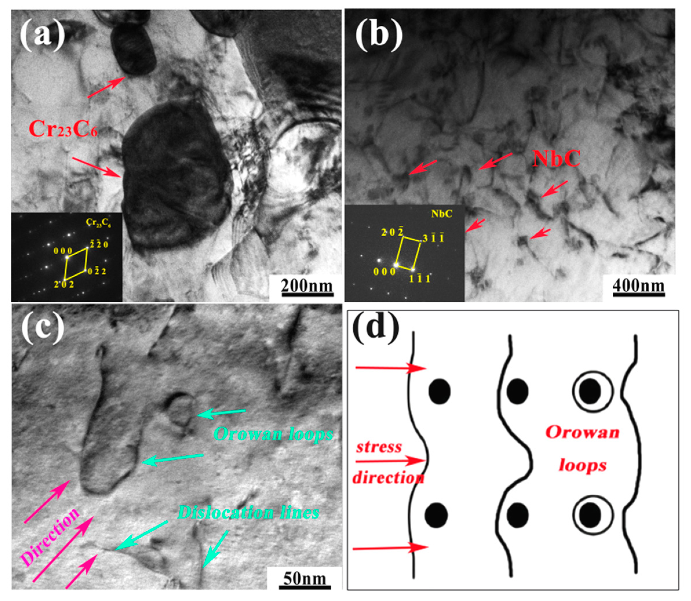 Metals 14 00870 g017