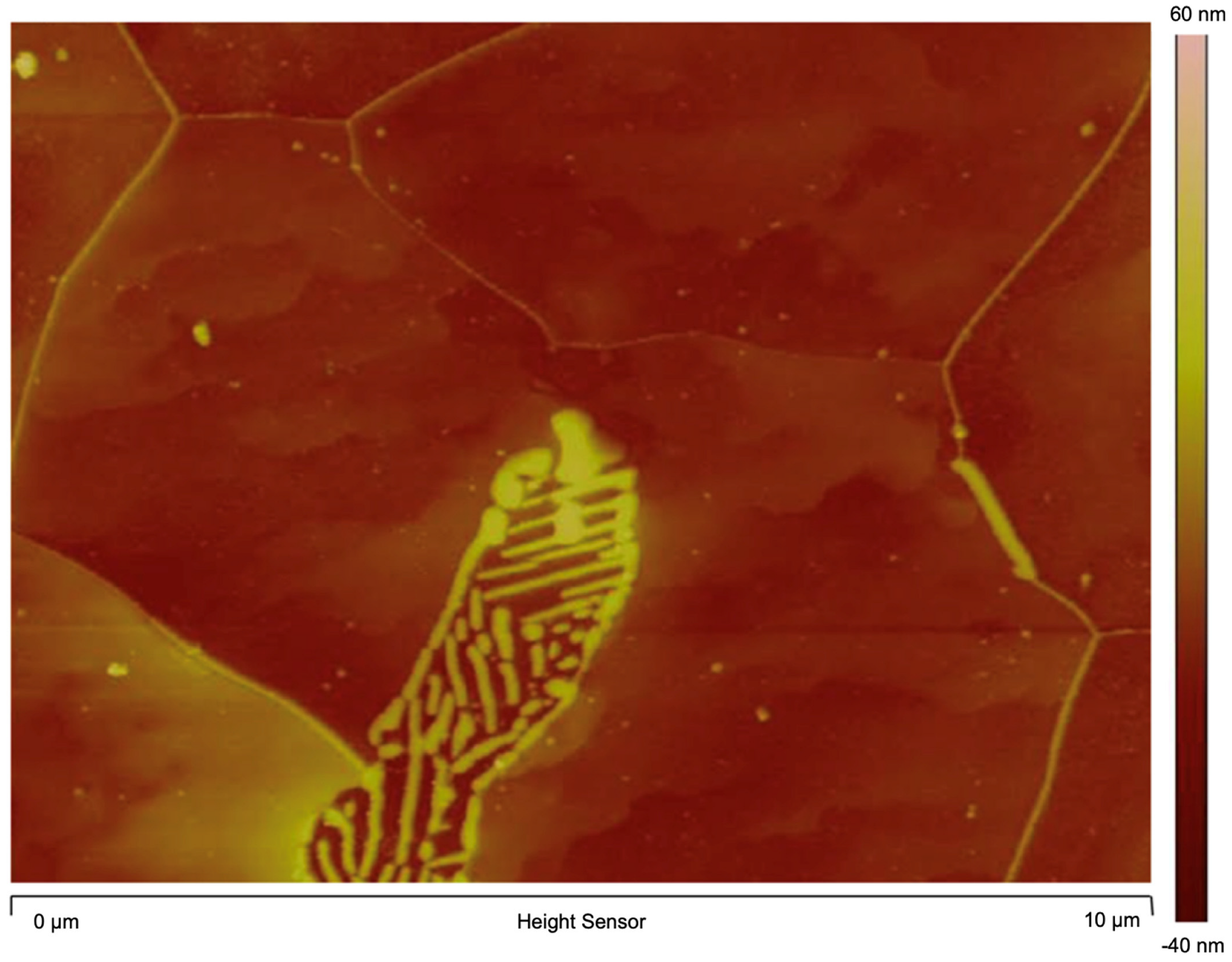 Metals 14 00871 g004