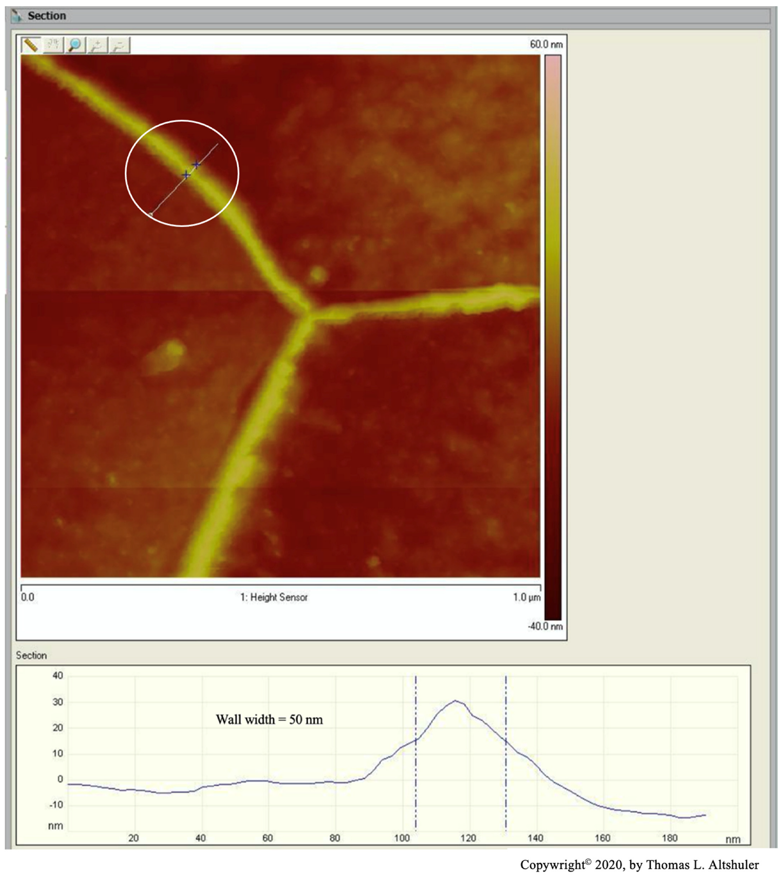 Metals 14 00871 g005