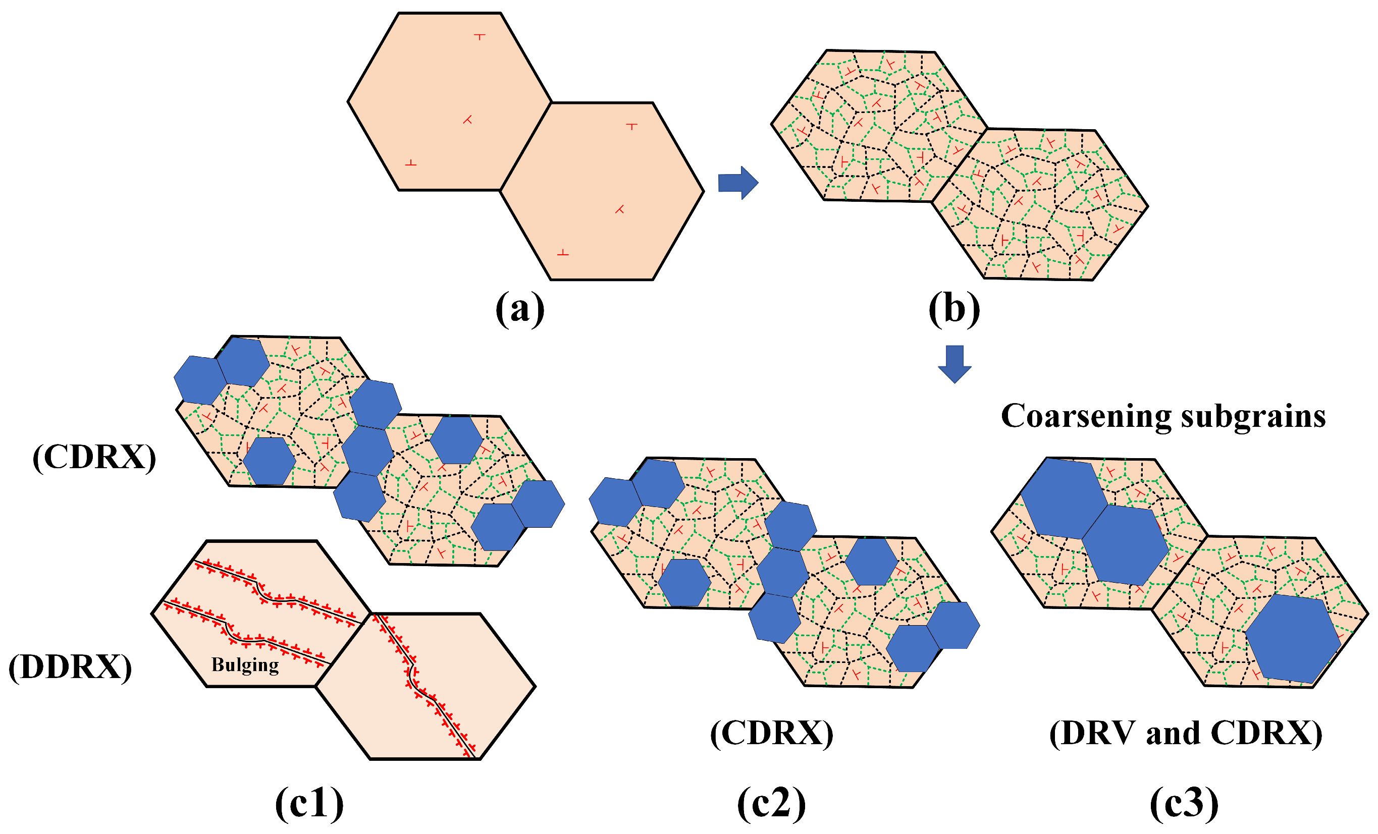 Metals 14 00889 g013