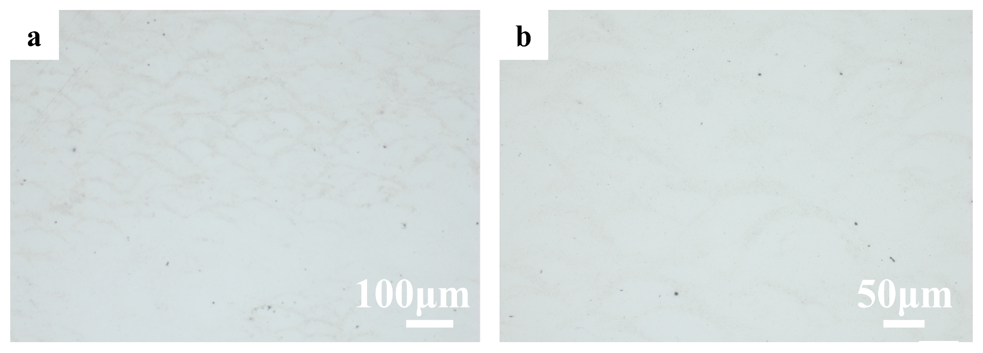 Metals 14 00890 g004