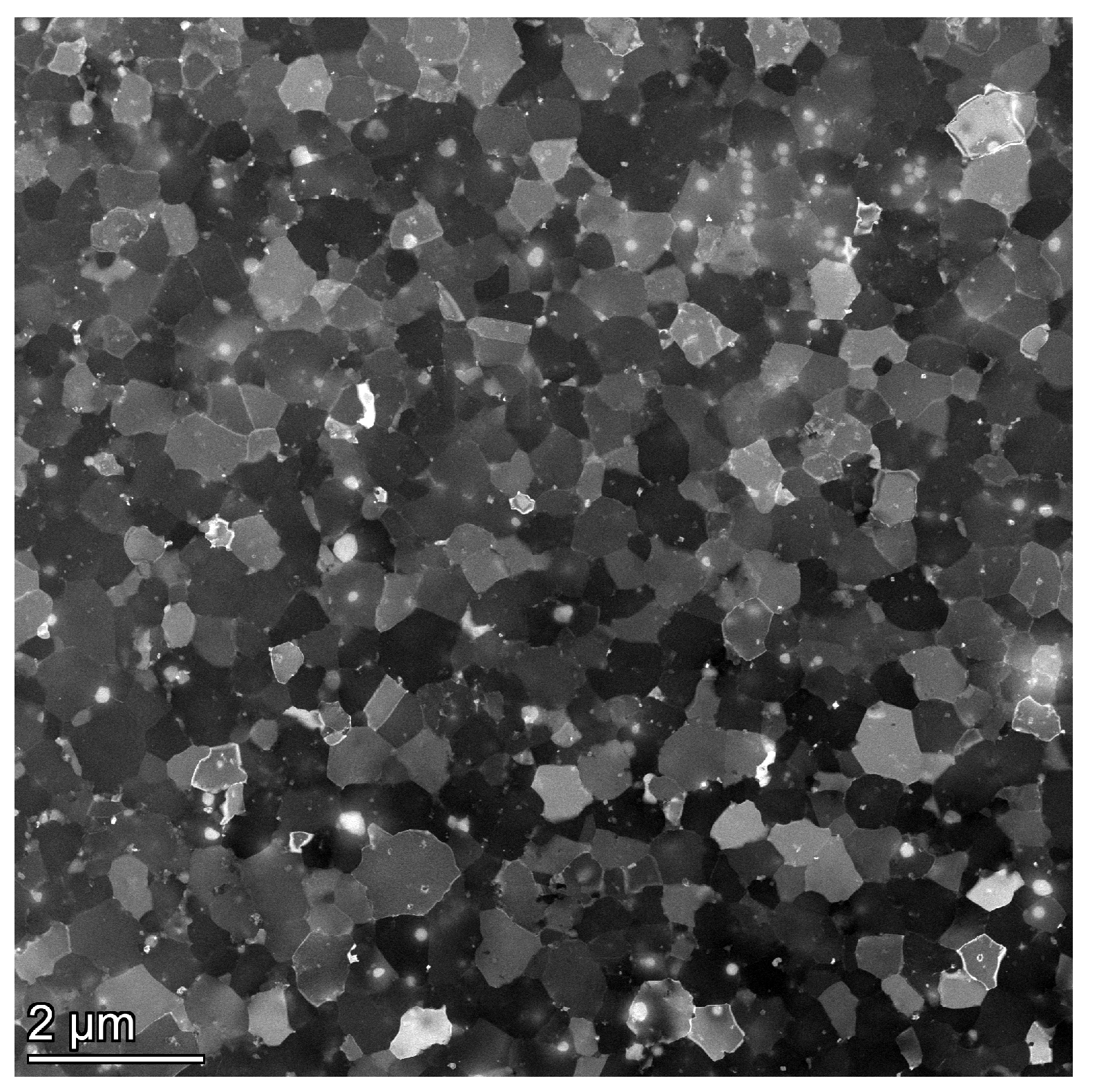 Metals 14 00890 g010