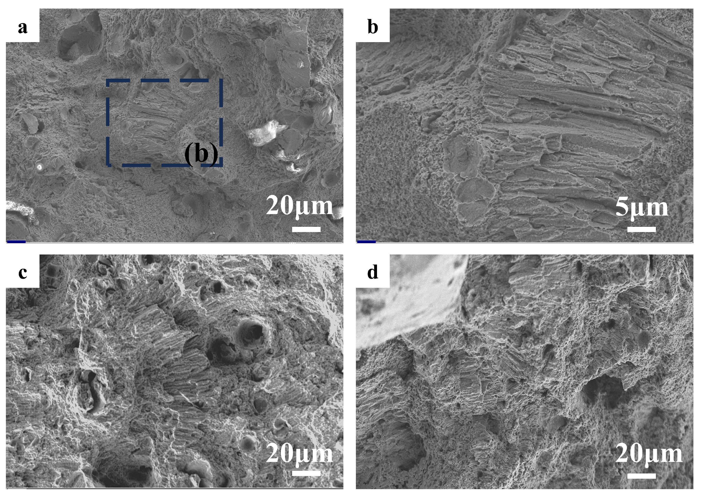 Metals 14 00890 g012