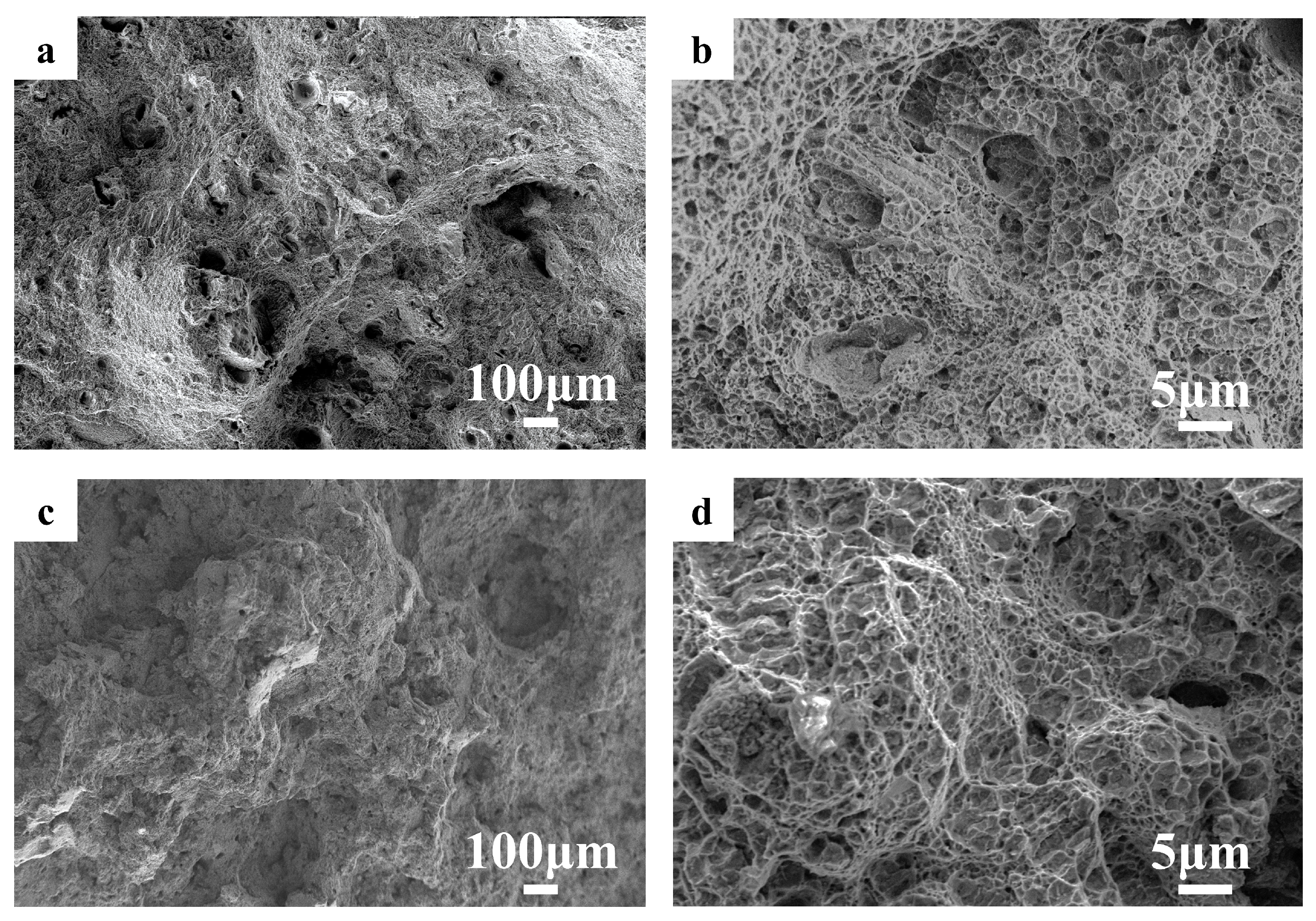 Metals 14 00890 g013